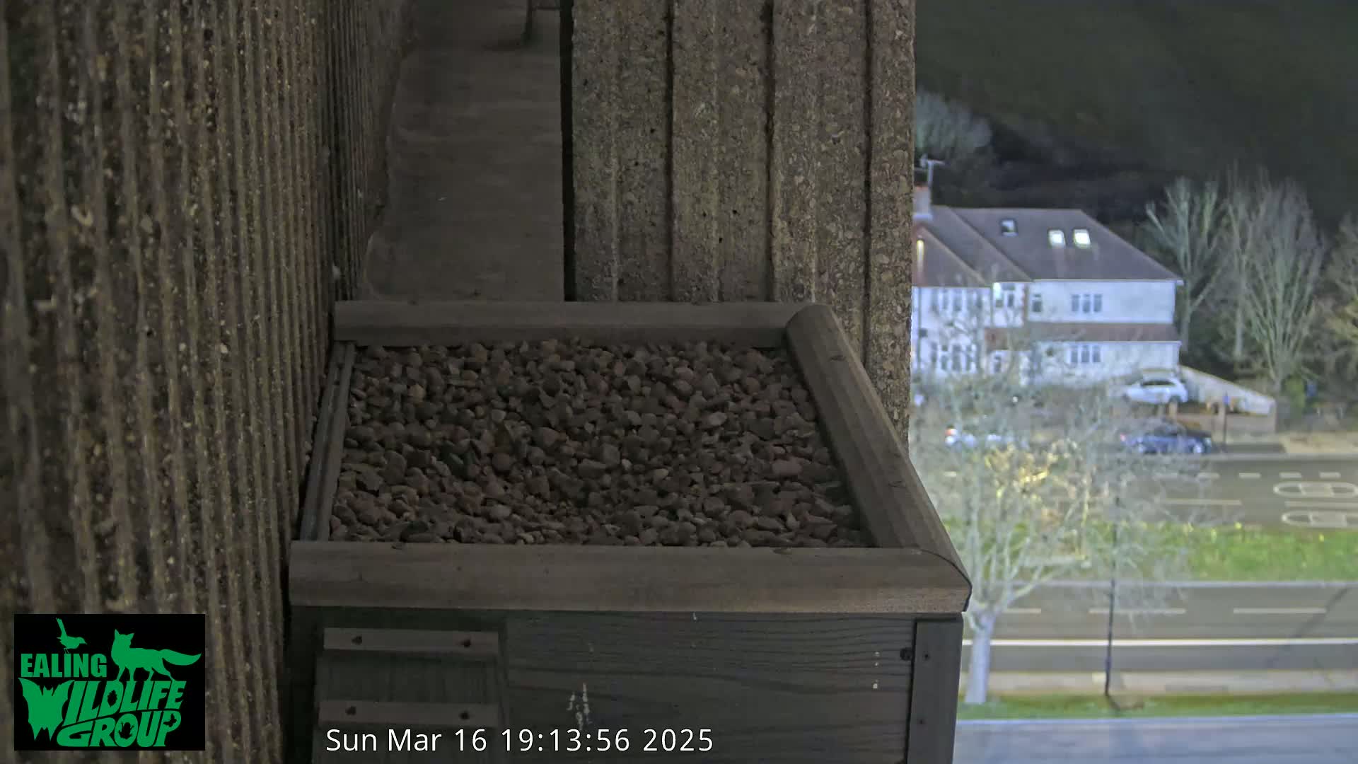 A dark brown wooden box filled with dark brown gravel sits on a concrete wall overlooking a nighttime street scene.