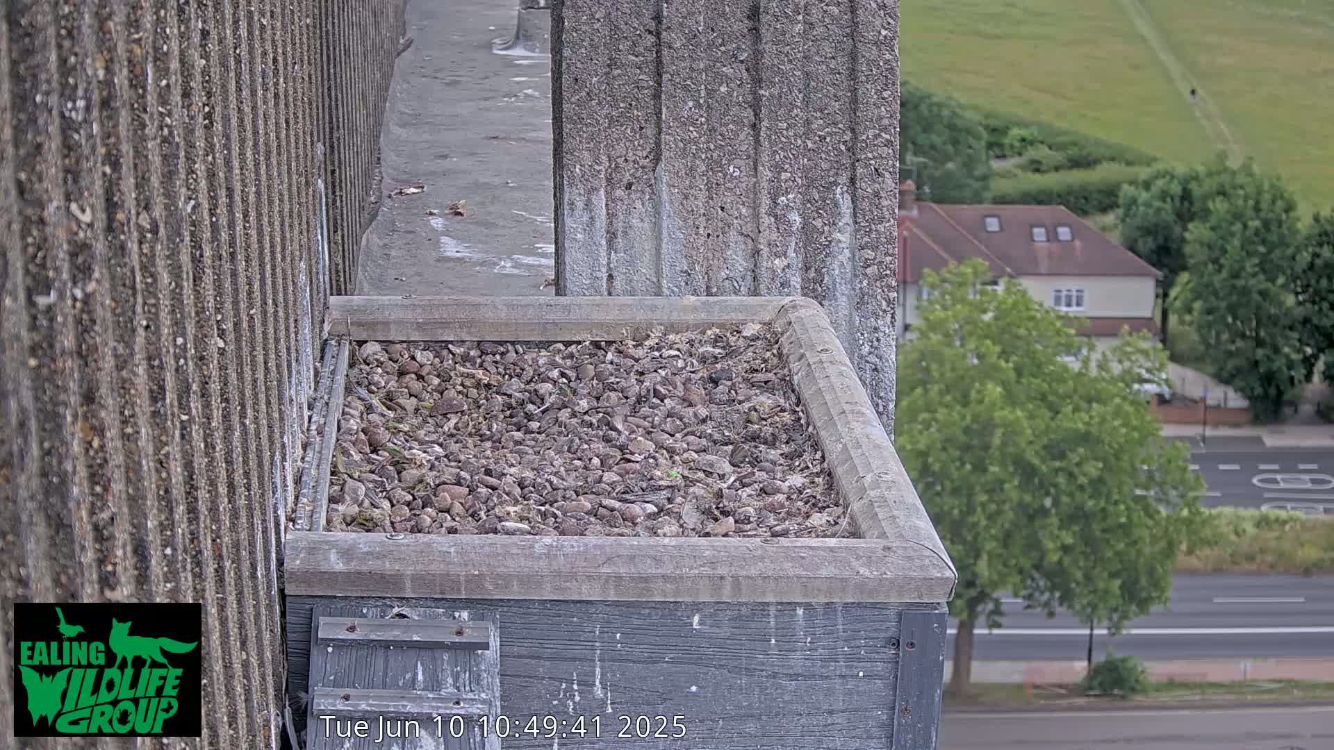 A flat, rectangular bird's nest filled with small stones and debris sits atop a building overlooking a street and houses on a partly cloudy day.