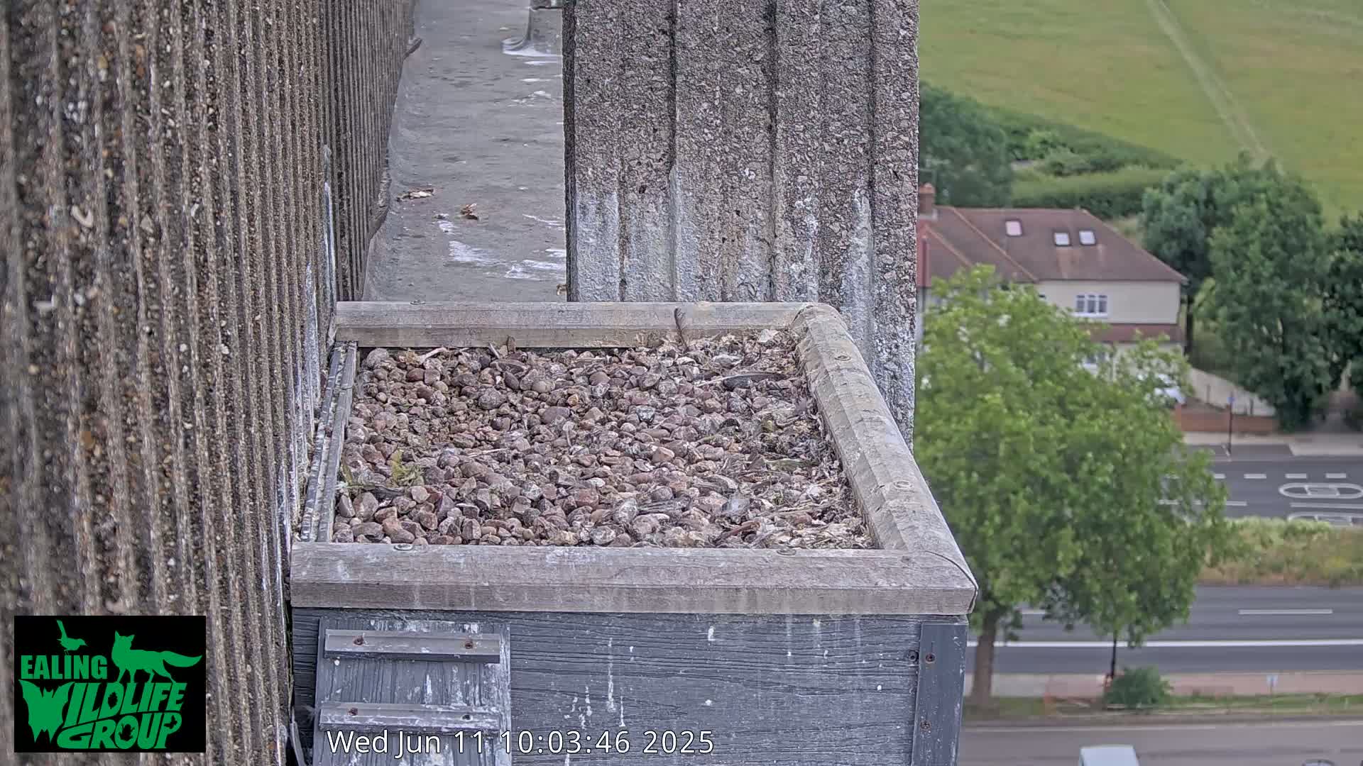 A gray, rectangular bird nesting box filled with small rocks and debris sits atop a building overlooking a street and residential area on an overcast day.
