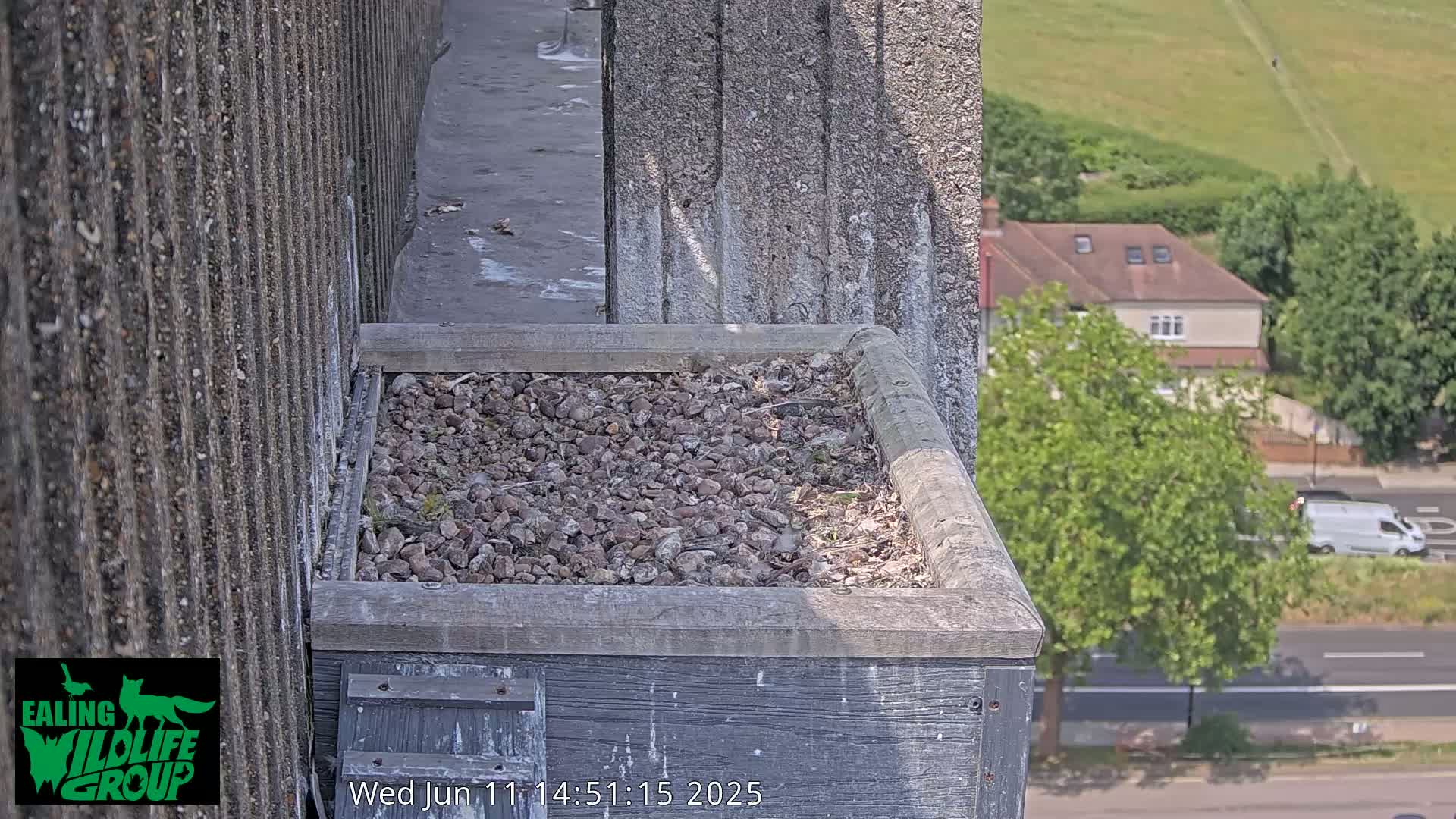 A gravel-filled bird nesting box sits atop a weathered concrete building overlooking a sunny street and a residential area.