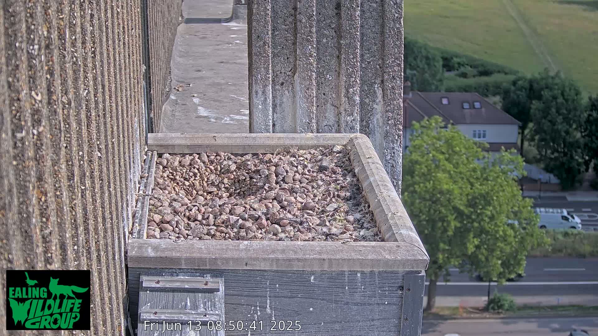A bird's nest filled with small stones sits atop a building on a sunny day, overlooking a street and residential area.