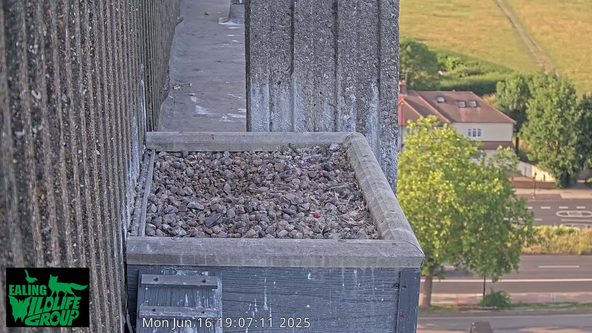 A gray stone-filled bird nesting box sits atop a building overlooking a sunny street and residential area.