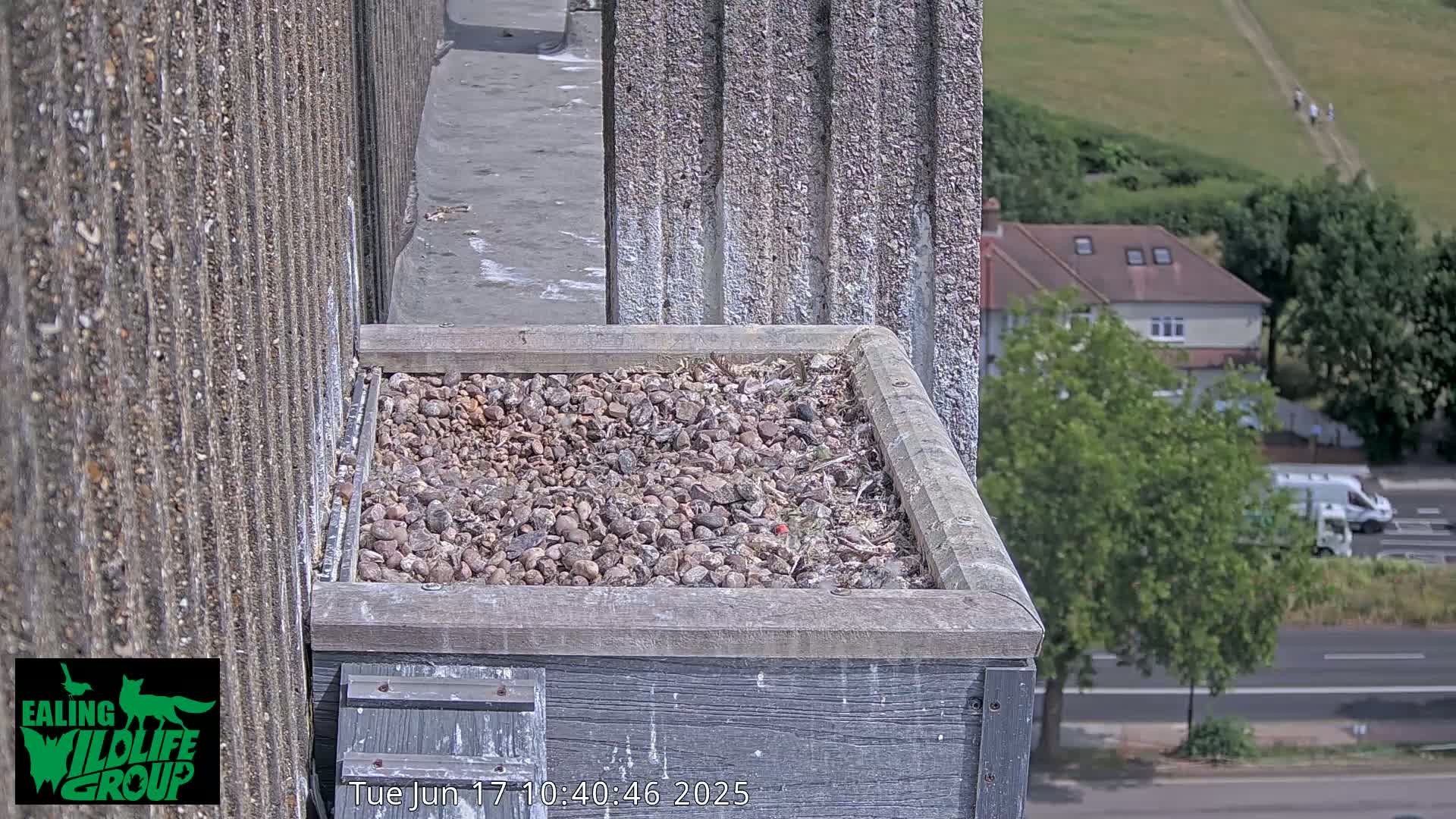 A gravel-filled bird nesting box sits atop a building overlooking a sunny street and a grassy hill.