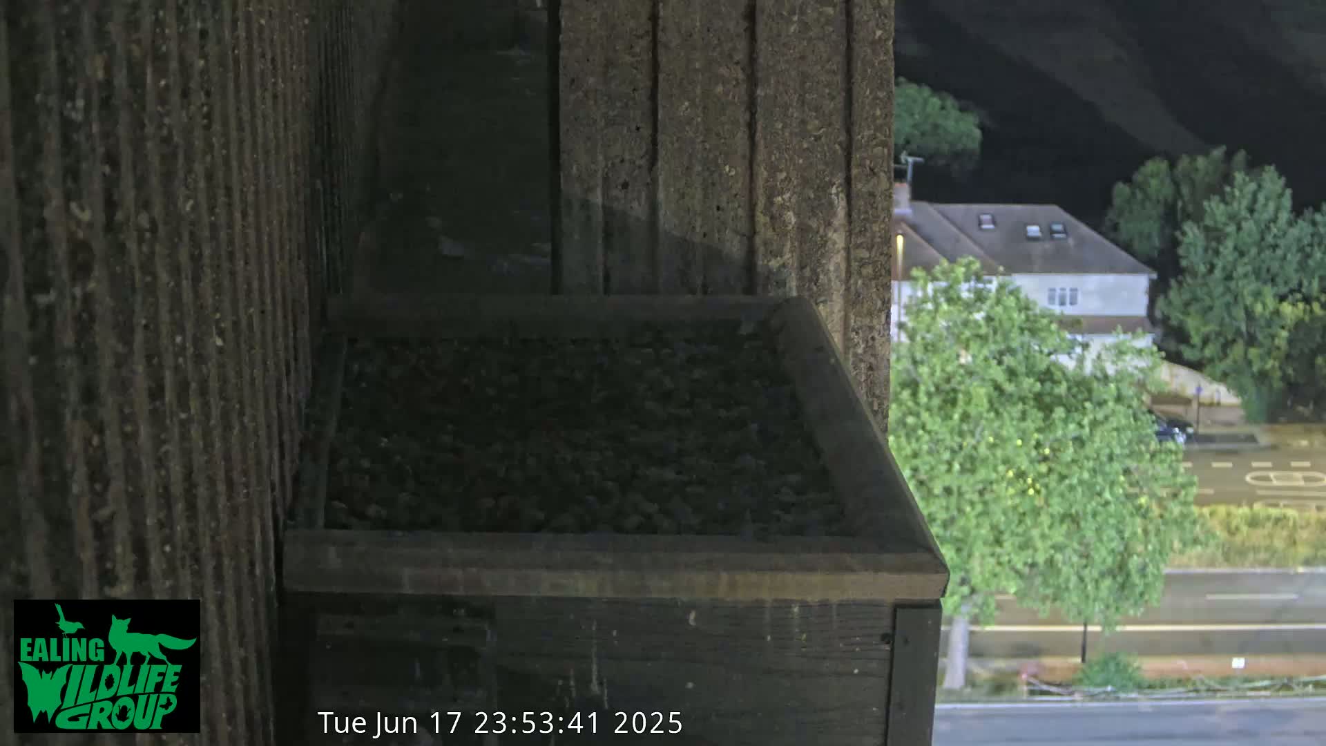 Ealing A4020/ Uxbridge Rd & Ealing’s Peregrine Falcons Life Live Cam - Ealing, London, England, United Kingdom