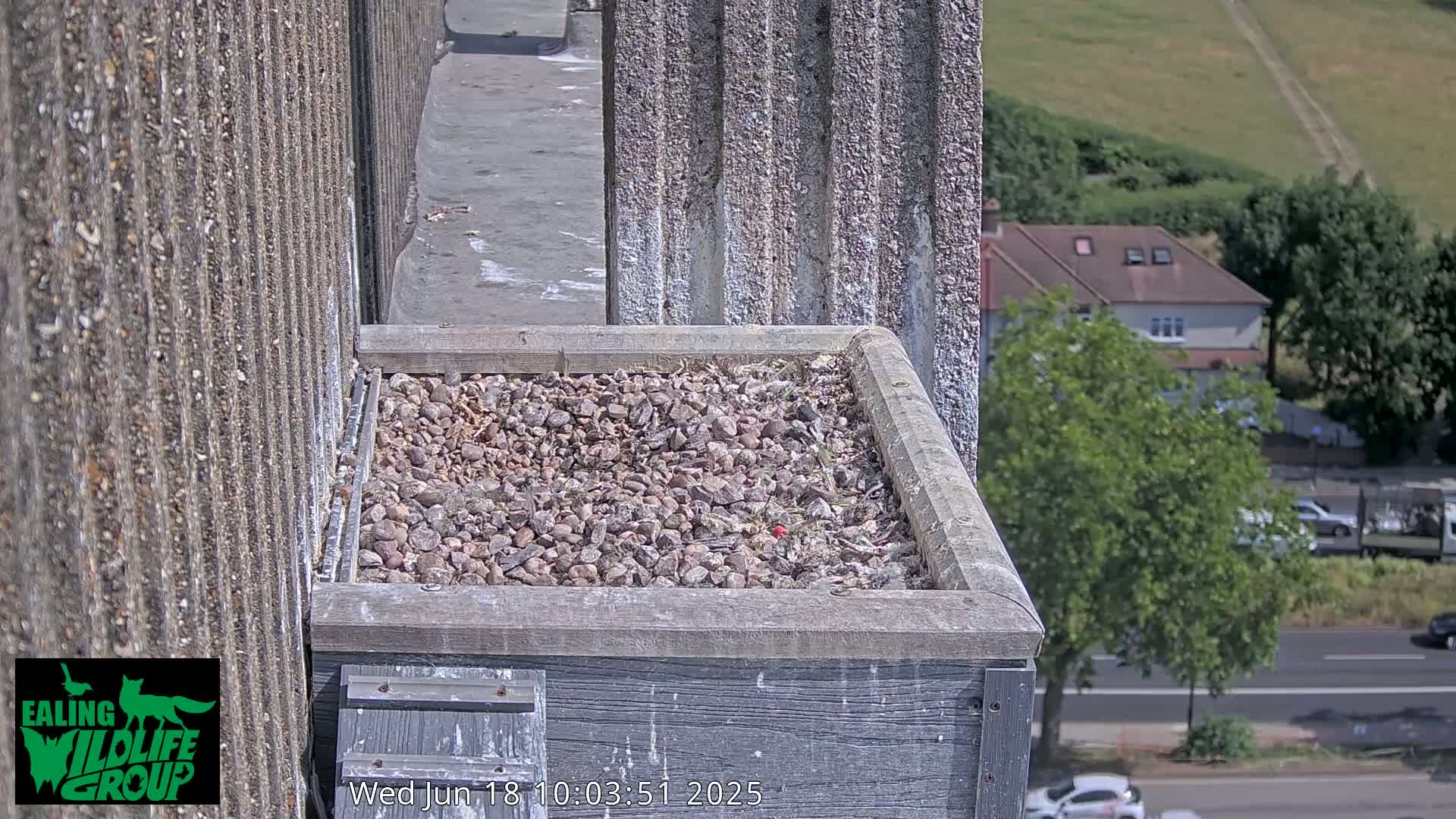A stone-filled nesting box sits atop a building overlooking a sunny road and suburban houses.