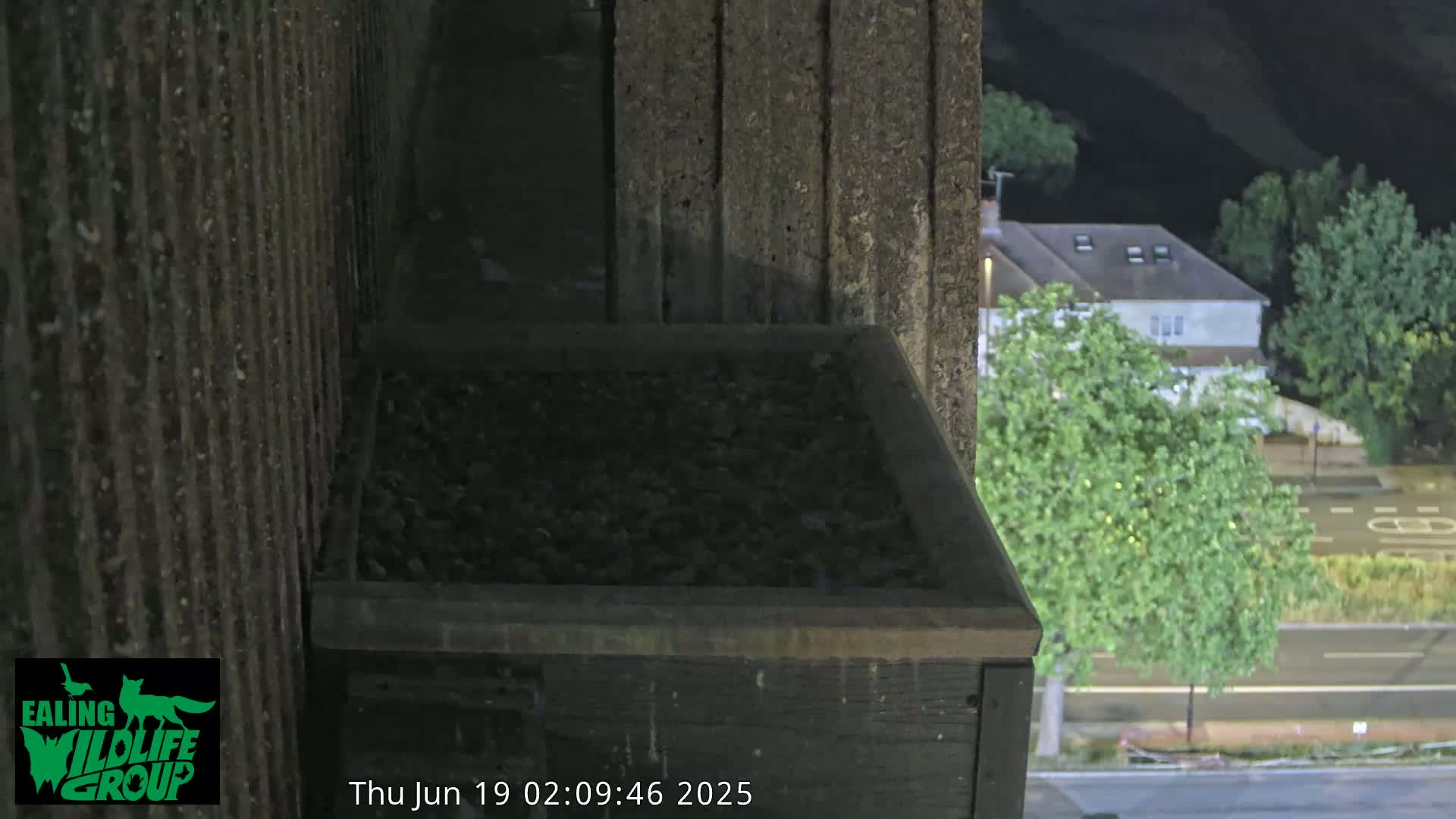 Ealing A4020/ Uxbridge Rd & Ealing’s Peregrine Falcons Life Live Cam - Ealing, London, England, United Kingdom