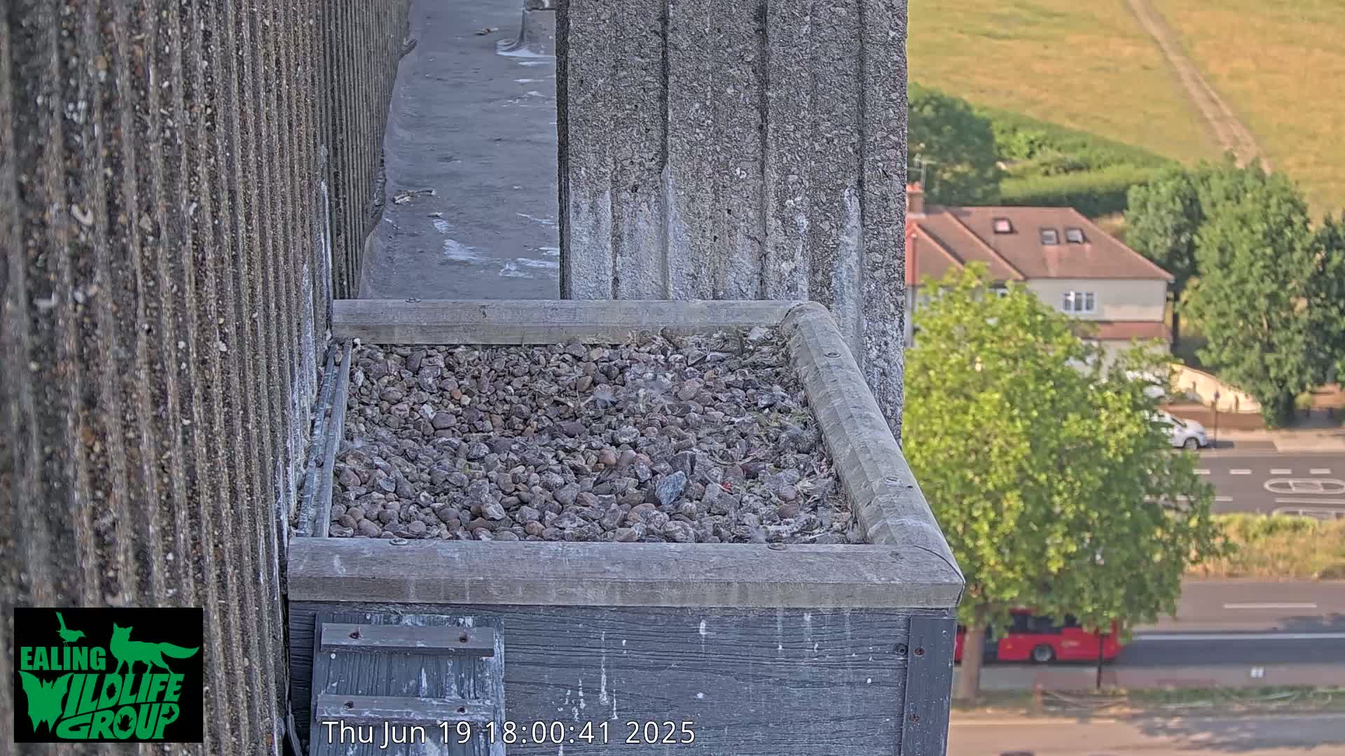 A gray, stone-filled bird box sits atop a building overlooking a residential street on a sunny day.