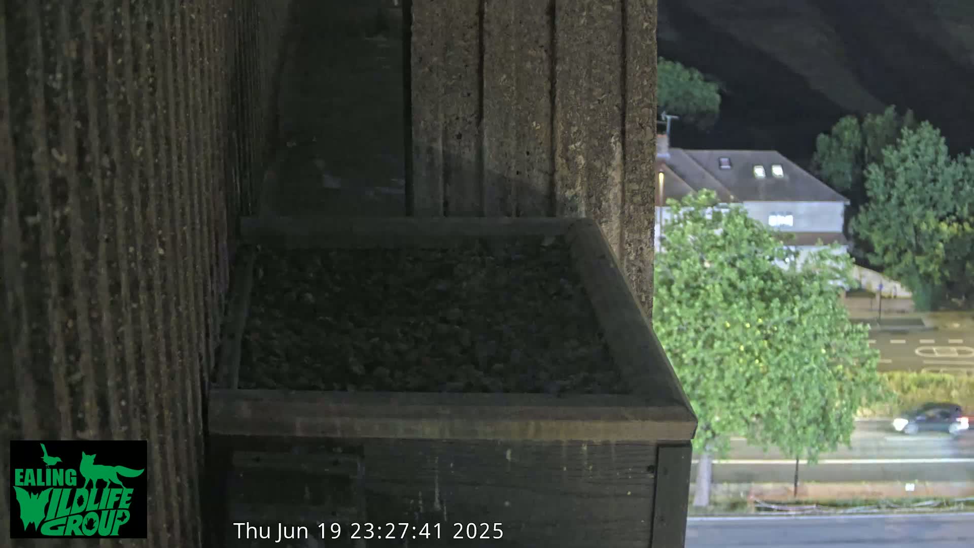 Ealing A4020/ Uxbridge Rd & Ealing’s Peregrine Falcons Life Live Cam - Ealing, London, England, United Kingdom