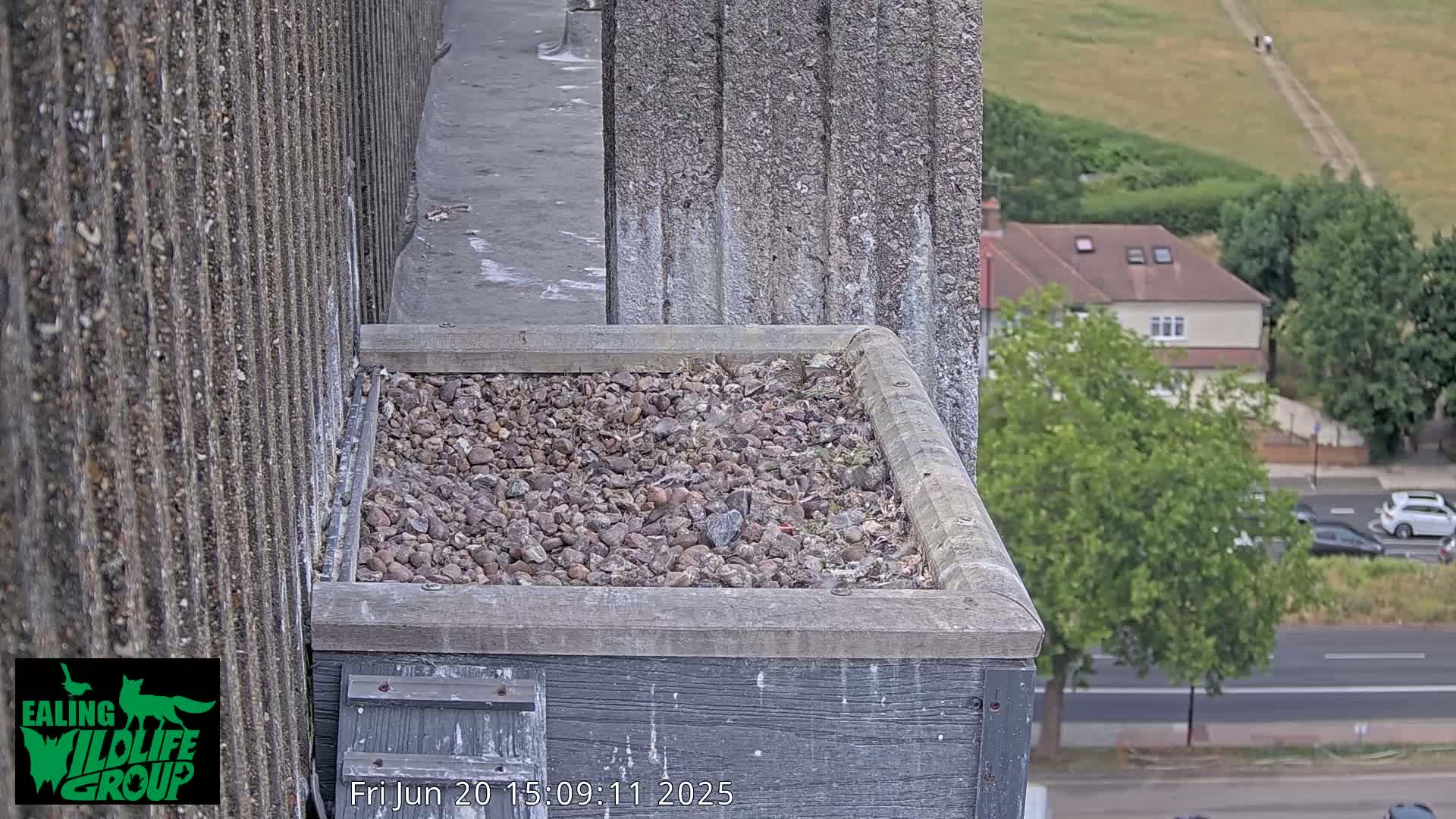 A bird's nest filled with small stones sits atop a gray building overlooking a street and houses on a partly sunny day.
