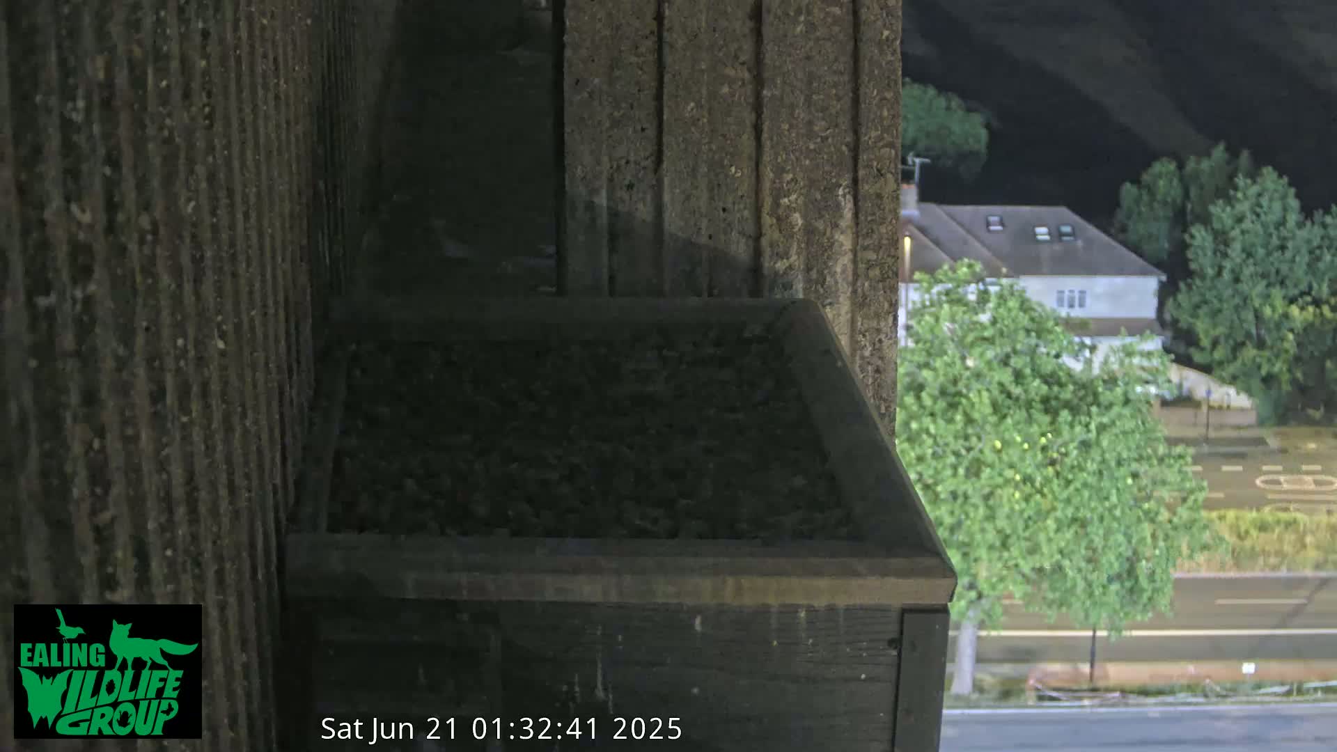 Ealing A4020/ Uxbridge Rd & Ealing’s Peregrine Falcons Life Live Cam - Ealing, London, England, United Kingdom