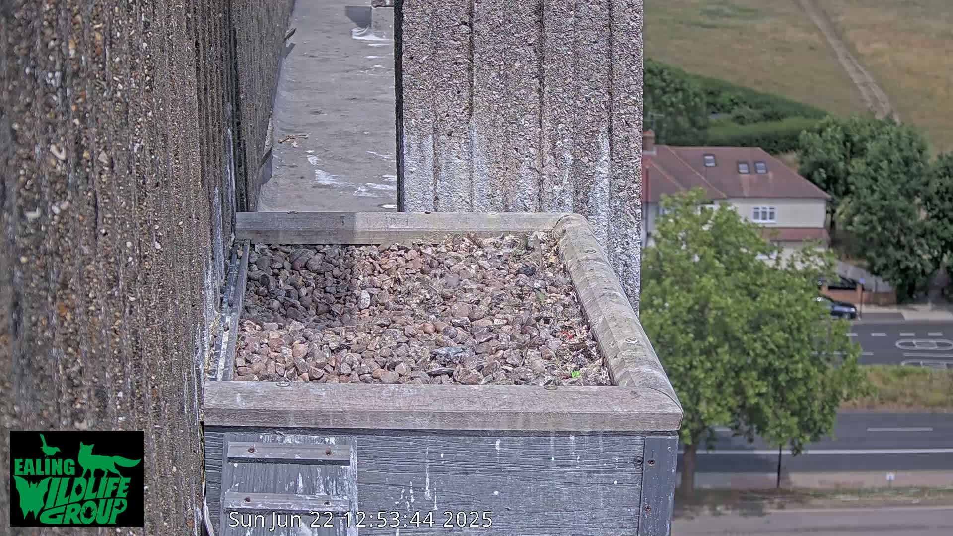 A weathered, gray, stone-filled box sits atop a building overlooking a sunny residential street.