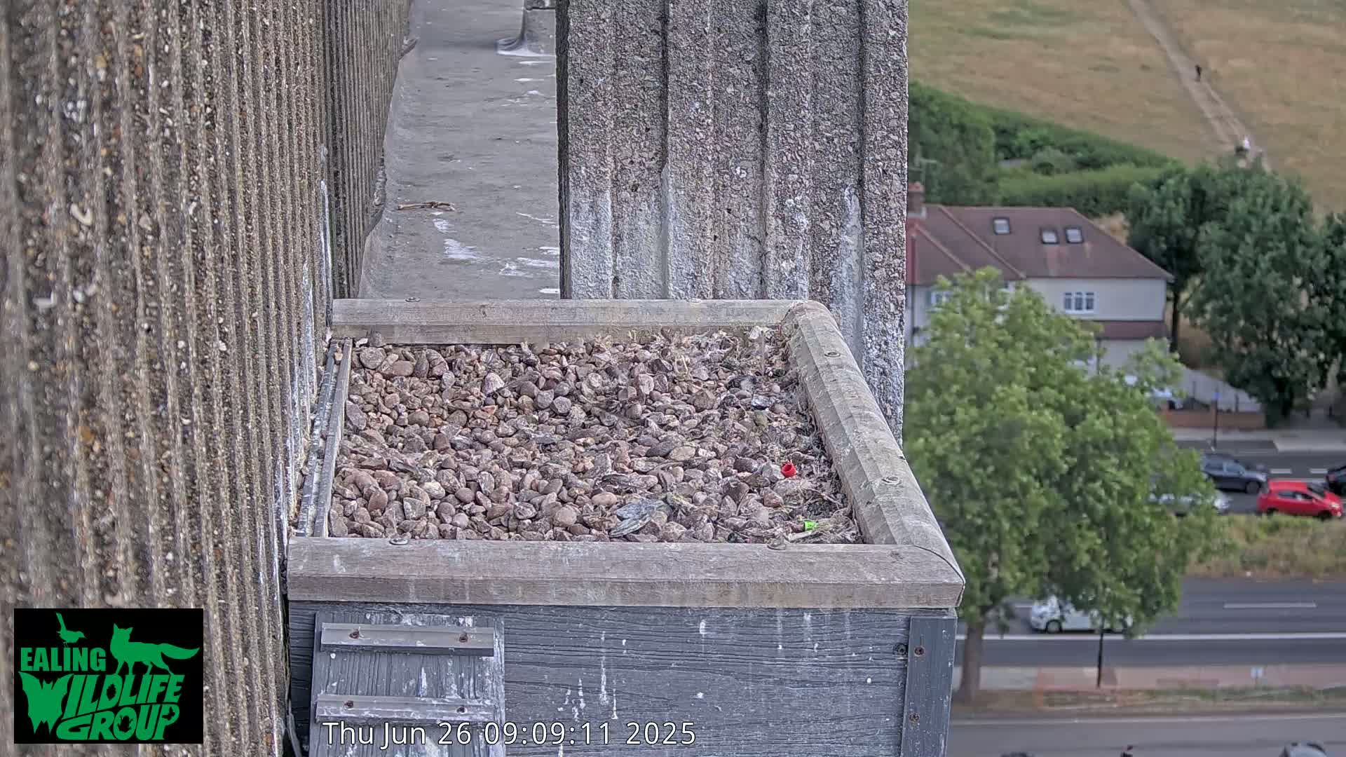 A bird's nest filled with gravel sits atop a building overlooking a street and suburban houses on a partly cloudy day.