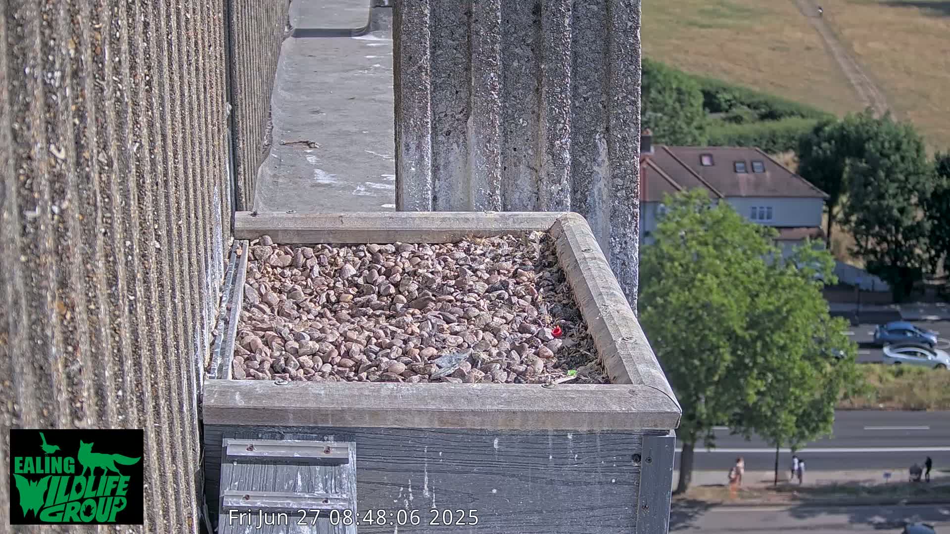 A gravel-filled box sits atop a building on a sunny day, overlooking a street with pedestrians and cars.