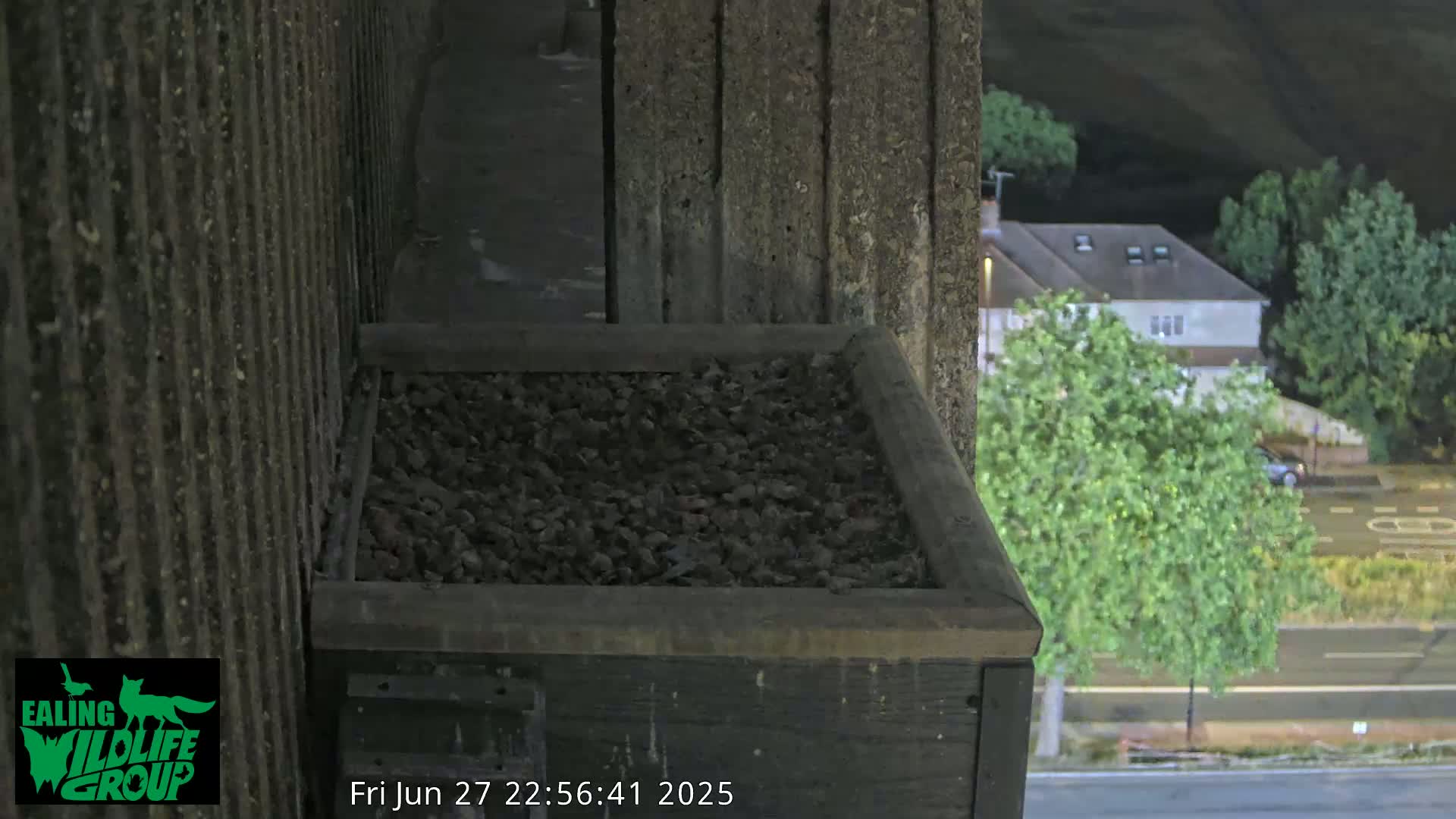 Ealing A4020/ Uxbridge Rd & Ealing’s Peregrine Falcons Life Live Cam - Ealing, London, England, United Kingdom