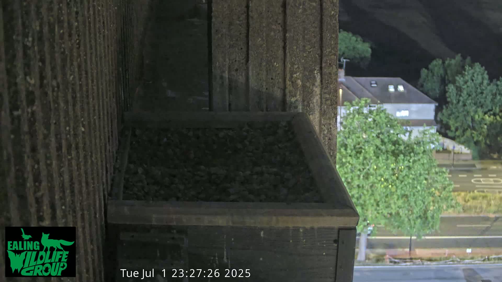 Ealing A4020/ Uxbridge Rd & Ealing’s Peregrine Falcons Life Live Cam - Ealing, London, England, United Kingdom
