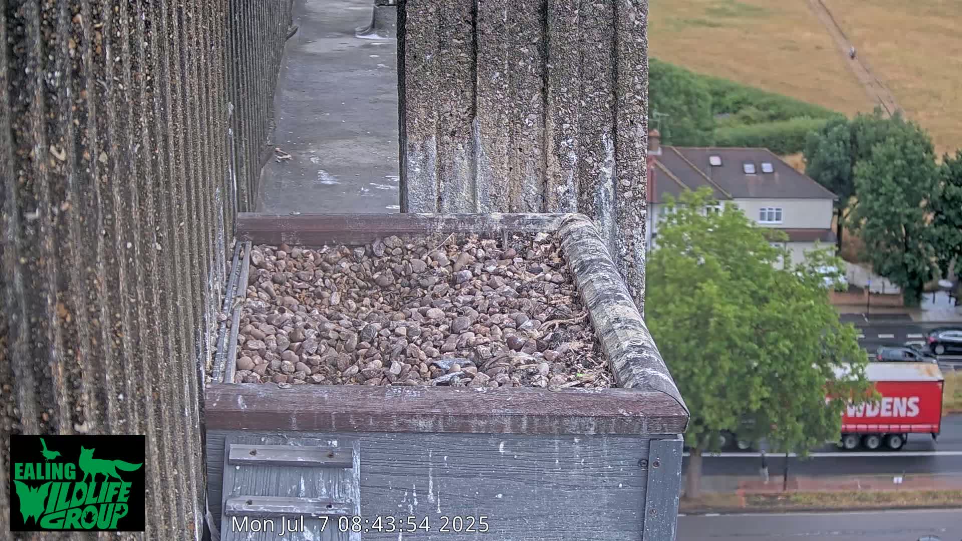 A gravel-filled bird nesting box is situated atop a building overlooking a street with vehicles and houses under an overcast sky.