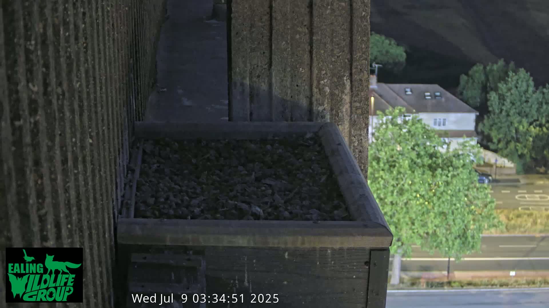 Ealing A4020/ Uxbridge Rd & Ealing’s Peregrine Falcons Life Live Cam - Ealing, London, England, United Kingdom