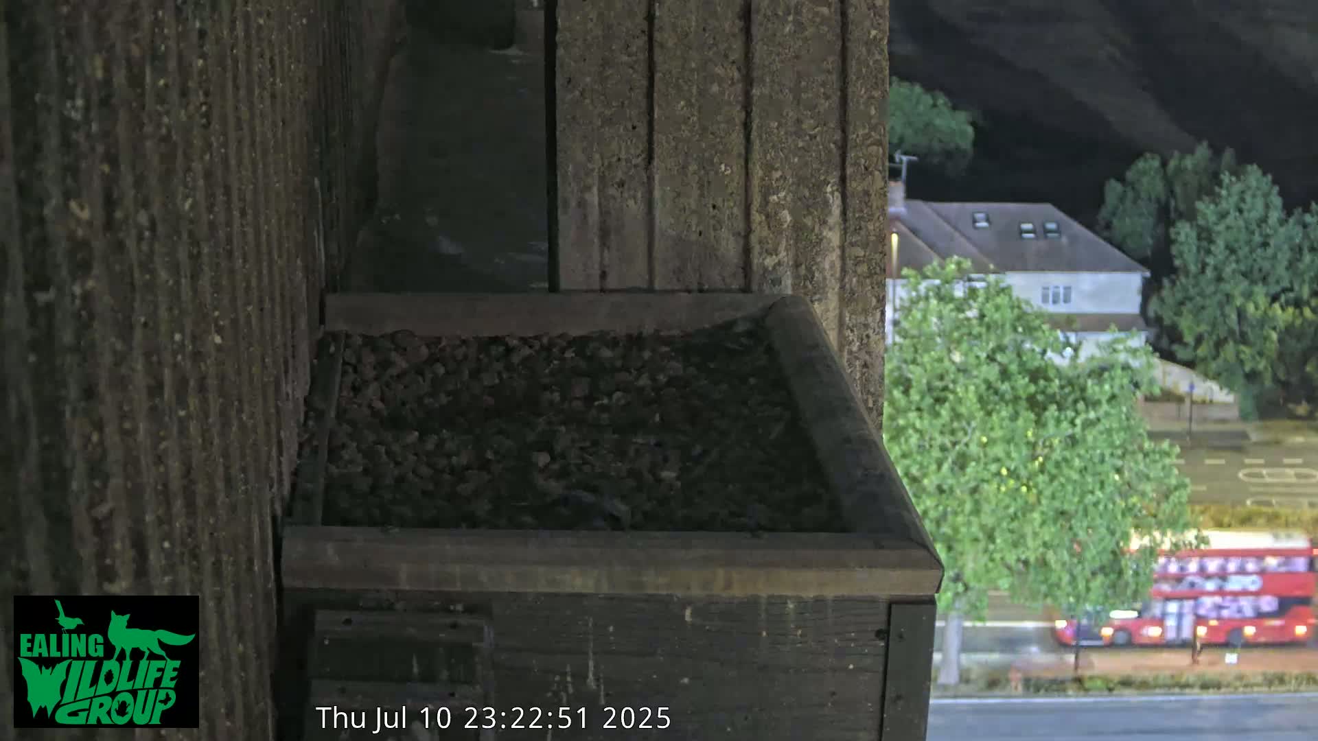 Ealing A4020/ Uxbridge Rd & Ealing’s Peregrine Falcons Life Live Cam - Ealing, London, England, United Kingdom