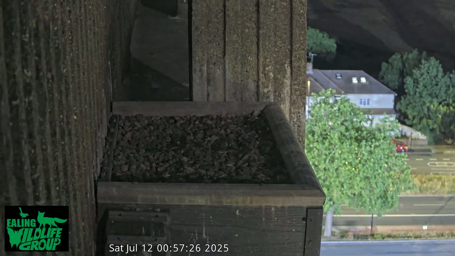 Ealing A4020/ Uxbridge Rd & Ealing’s Peregrine Falcons Life Live Cam - Ealing, London, England, United Kingdom