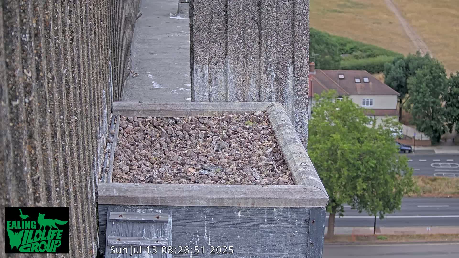 A gravel-filled box sits atop a building overlooking a street and houses, under a sunny sky.