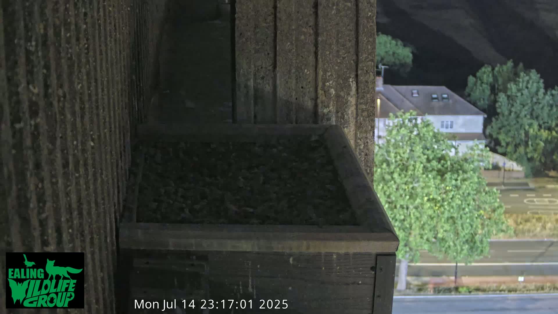 Ealing A4020/ Uxbridge Rd & Ealing’s Peregrine Falcons Life Live Cam - Ealing, London, England, United Kingdom