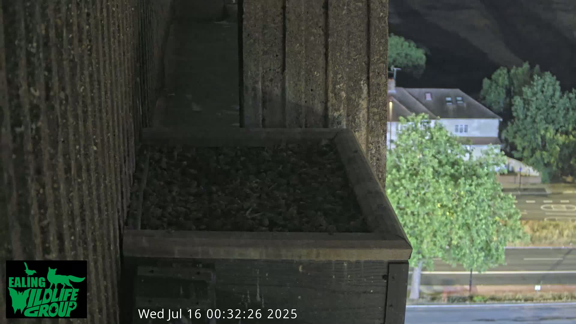 Ealing A4020/ Uxbridge Rd & Ealing’s Peregrine Falcons Life Live Cam - Ealing, London, England, United Kingdom
