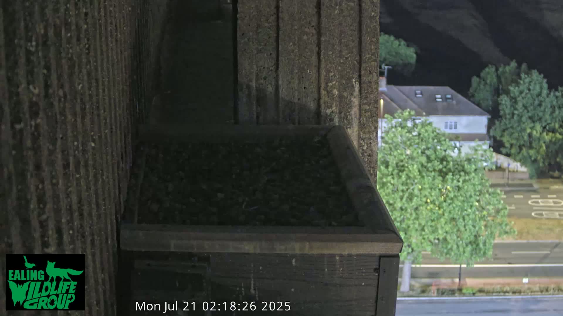 Ealing A4020/ Uxbridge Rd & Ealing’s Peregrine Falcons Life Live Cam - Ealing, London, England, United Kingdom