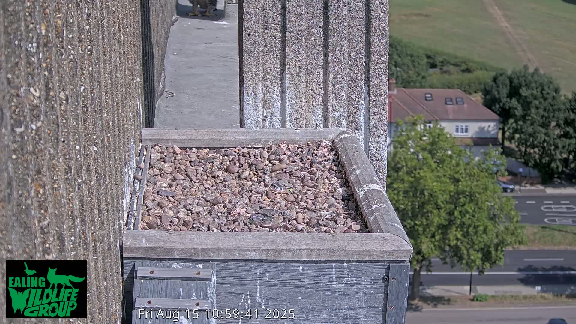 A gravel-filled box sits atop a building overlooking a street and houses on a sunny day.