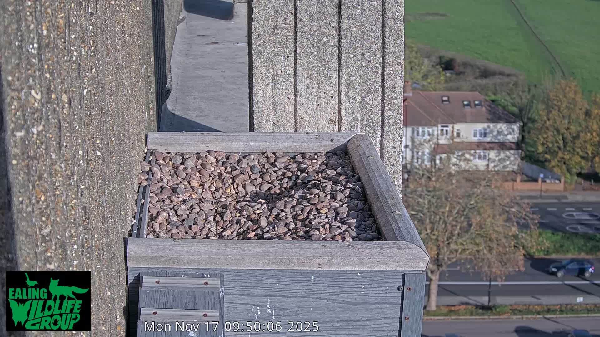 A high-angle outdoor view shows a pebble-filled nest box in the foreground, adjacent to a textured concrete wall, with residential houses, a road, autumn trees, and a distant grassy hill visible under clear, sunny weather.