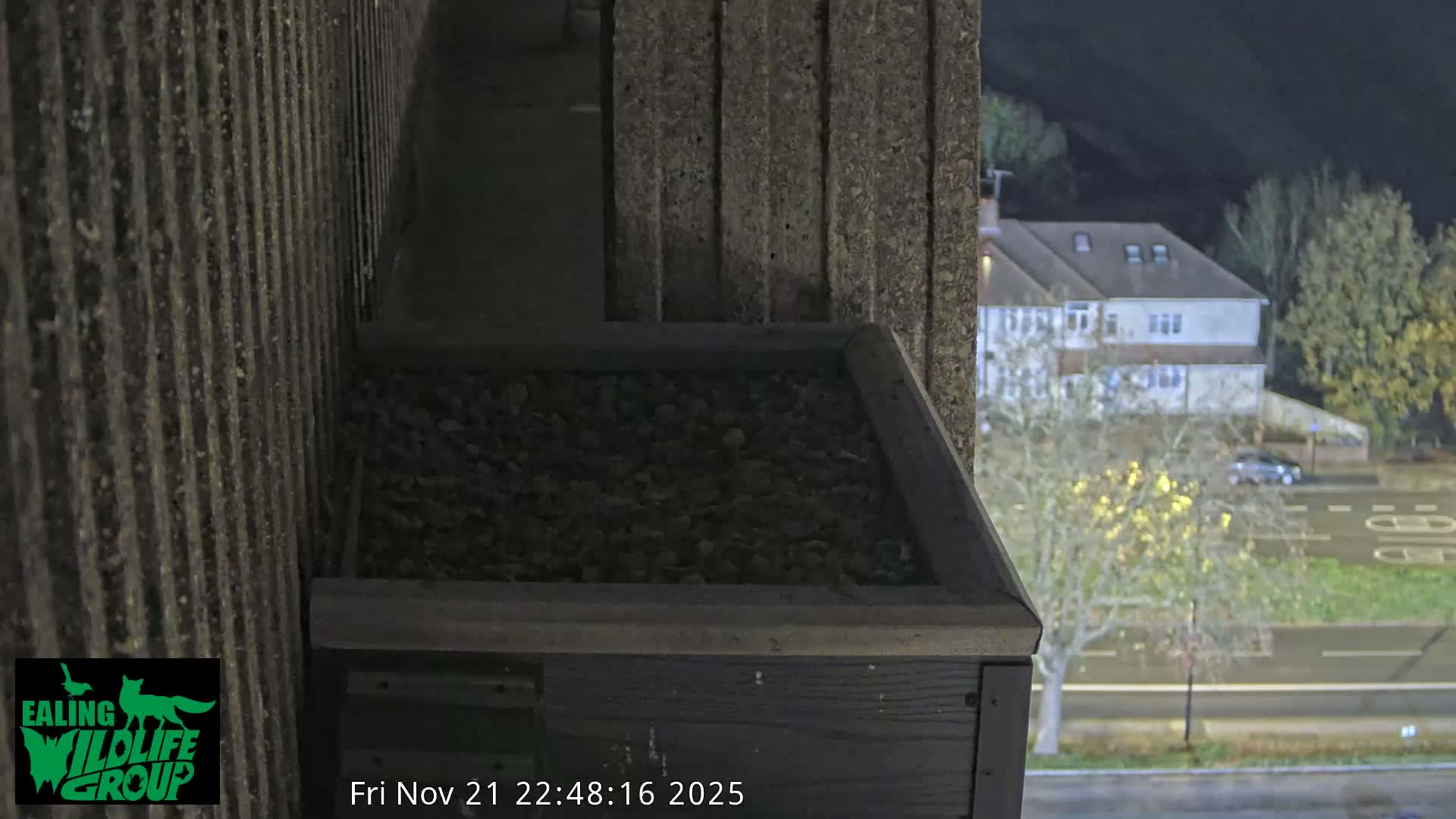 Ealing A4020/ Uxbridge Rd & Ealing’s Peregrine Falcons Life Live Cam - Ealing, London, England, United Kingdom