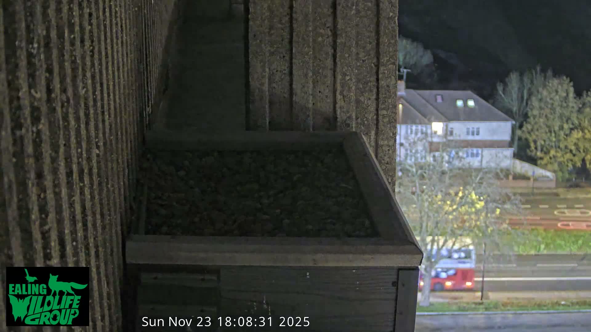 Ealing A4020/ Uxbridge Rd & Ealing’s Peregrine Falcons Life Live Cam - Ealing, London, England, United Kingdom