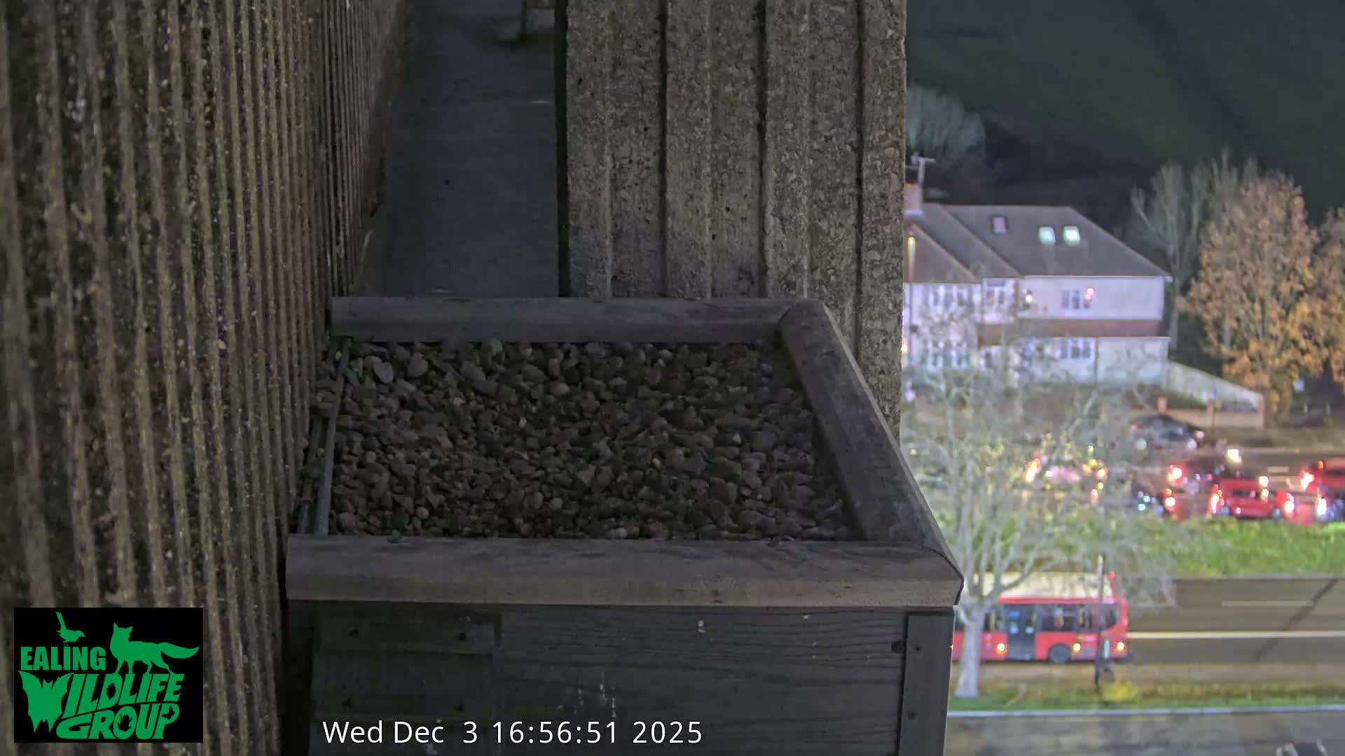 Ealing A4020/ Uxbridge Rd & Ealing’s Peregrine Falcons Life Live Cam - Ealing, London, England, United Kingdom
