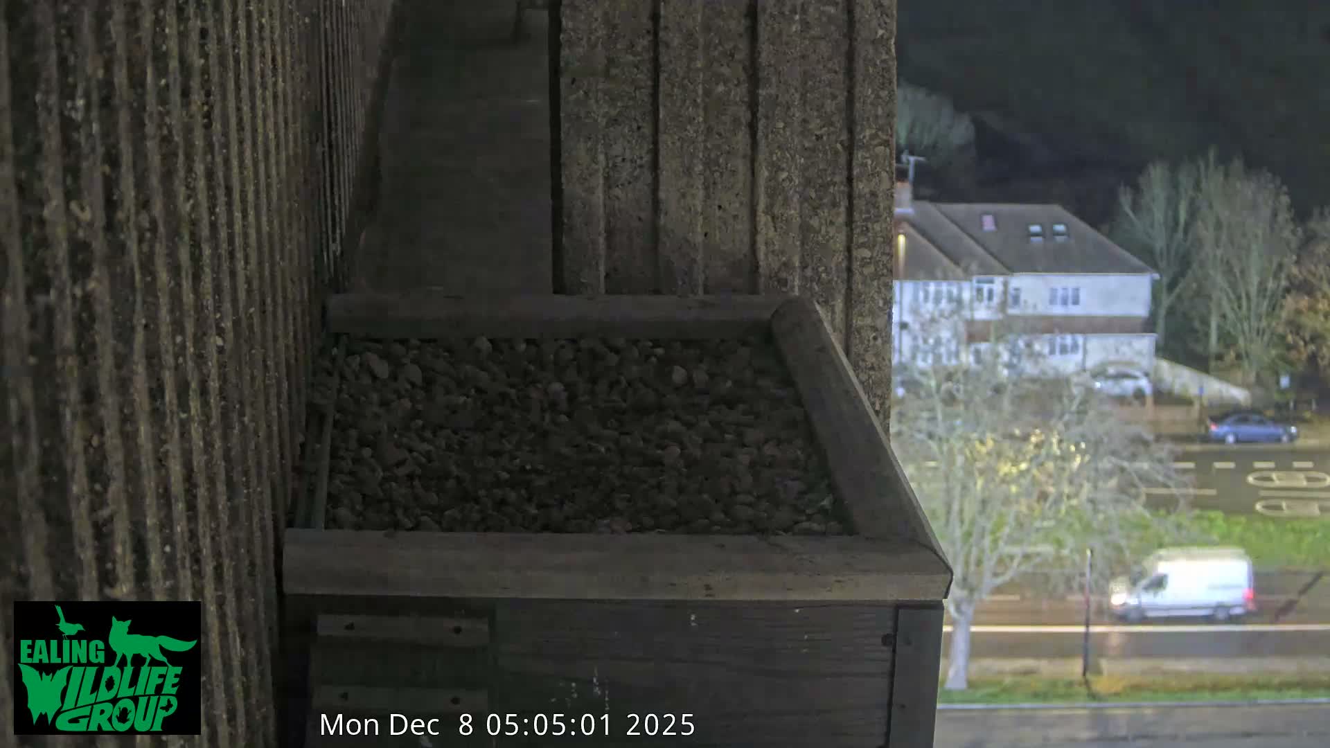 Ealing A4020/ Uxbridge Rd & Ealing’s Peregrine Falcons Life Live Cam - Ealing, London, England, United Kingdom