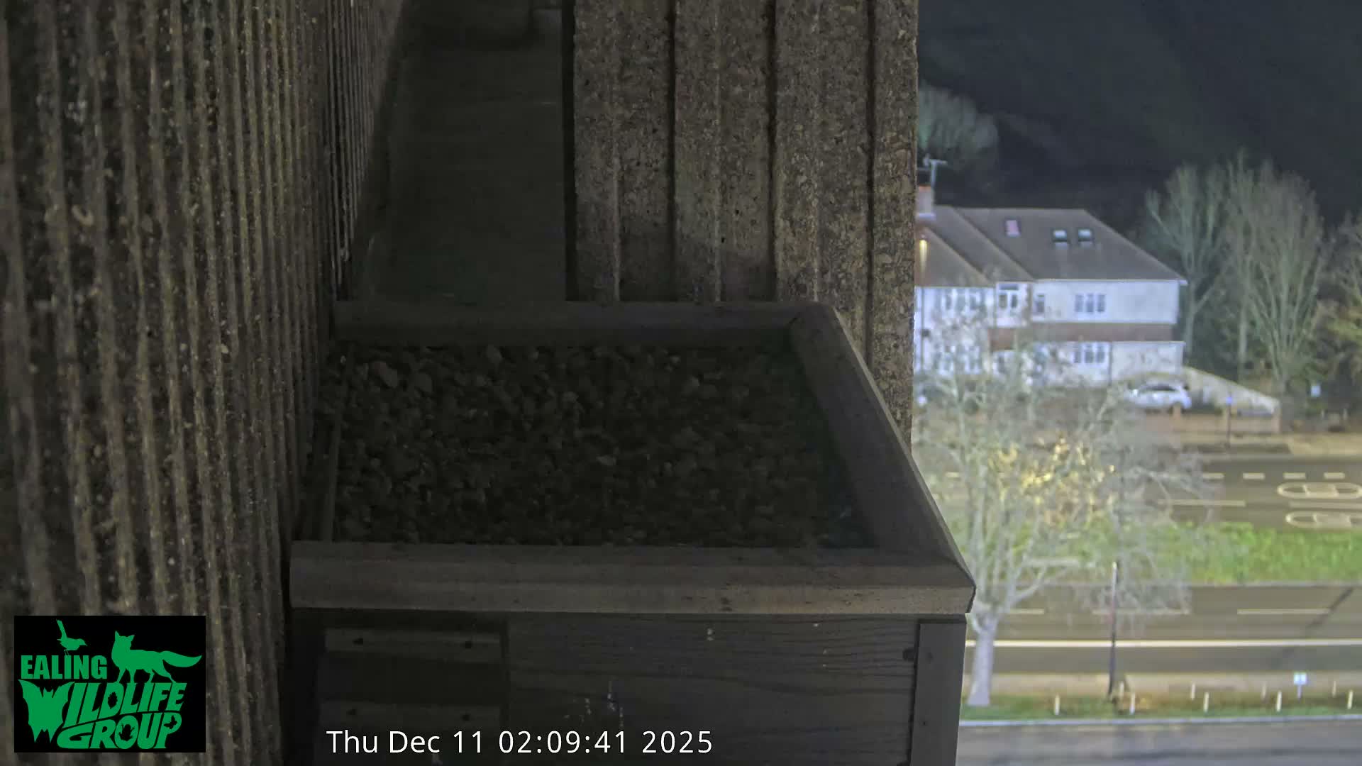 Ealing A4020/ Uxbridge Rd & Ealing’s Peregrine Falcons Life Live Cam - Ealing, London, England, United Kingdom