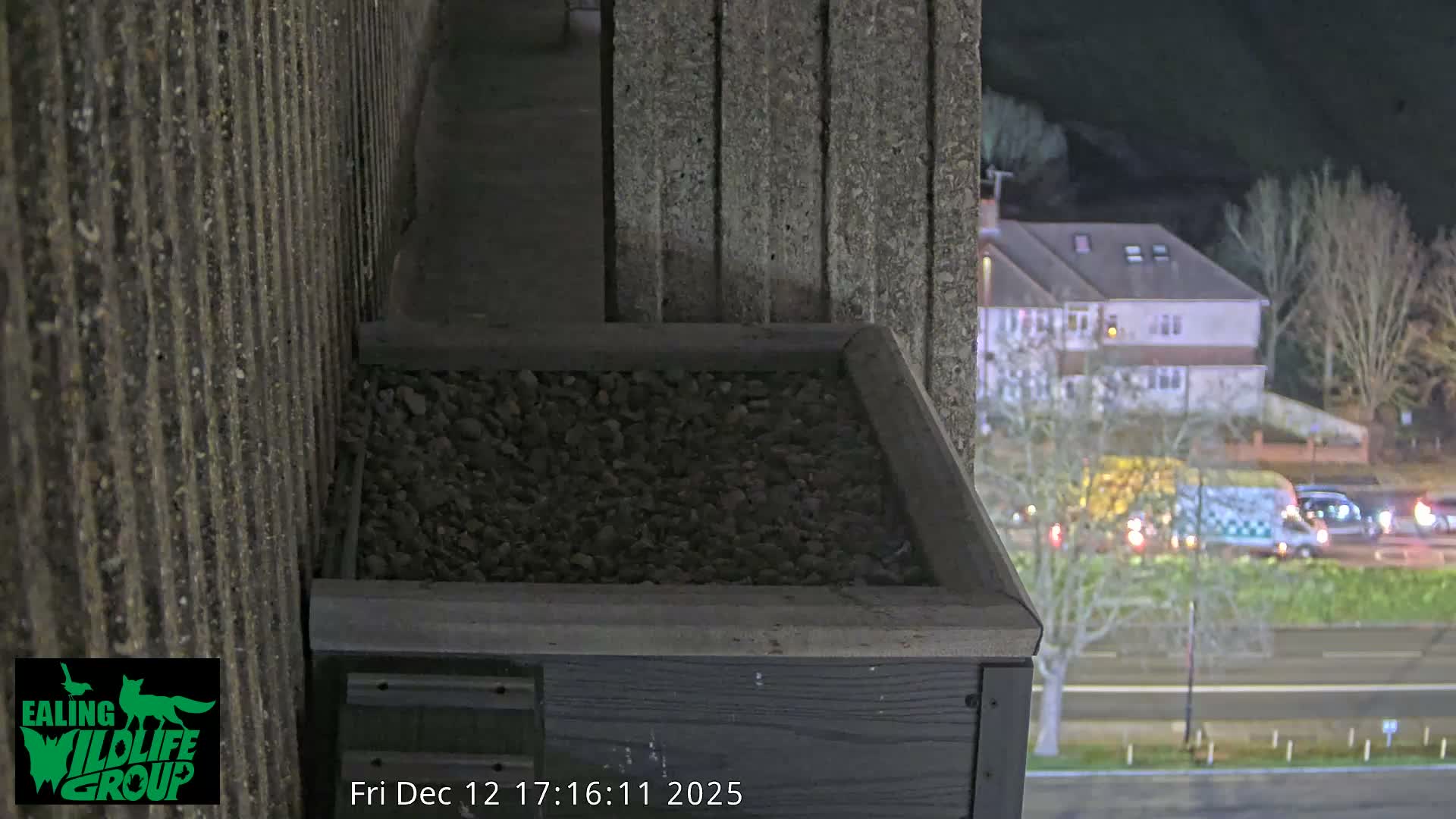 Ealing A4020/ Uxbridge Rd & Ealing’s Peregrine Falcons Life Live Cam - Ealing, London, England, United Kingdom