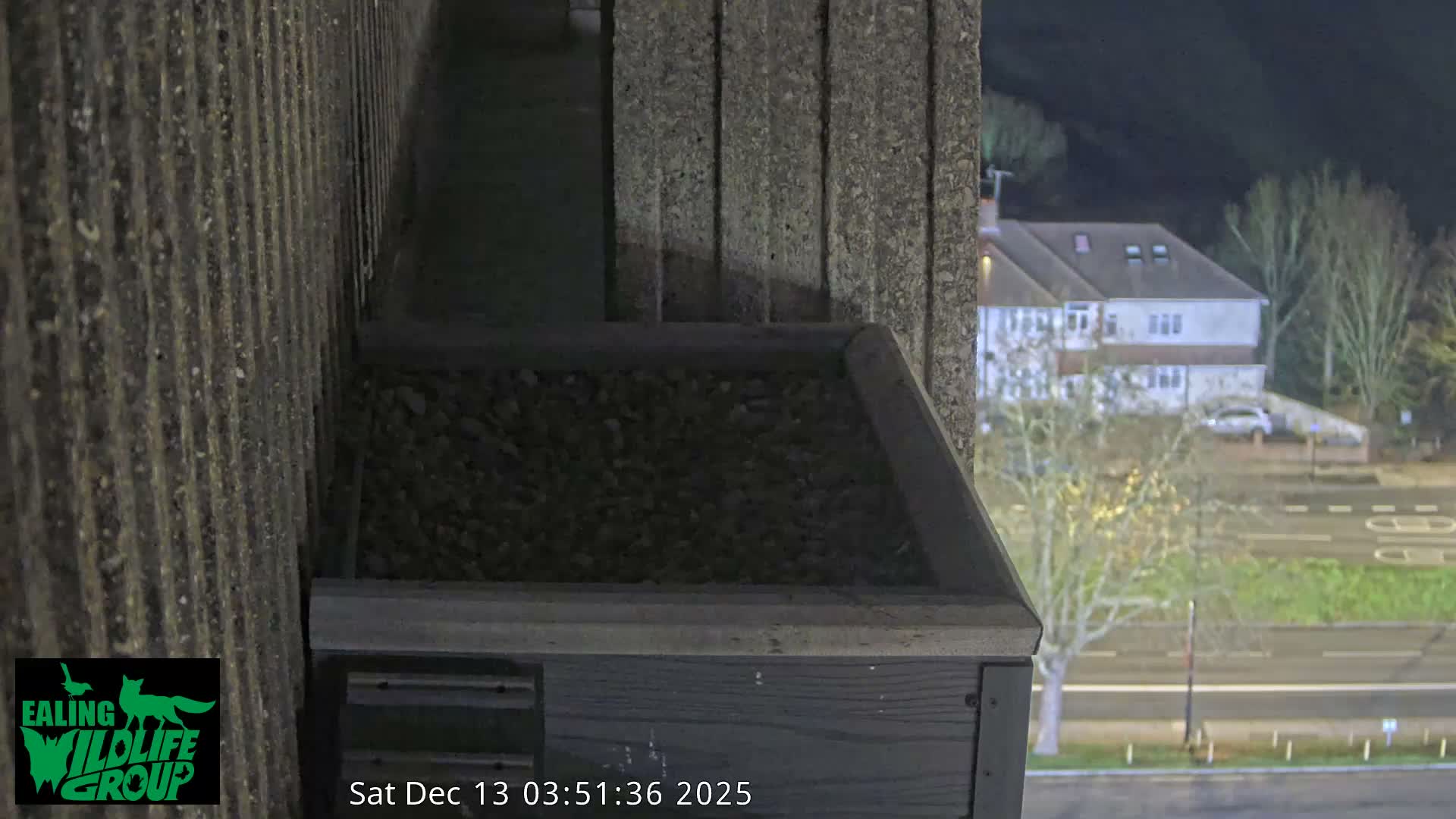 Ealing A4020/ Uxbridge Rd & Ealing’s Peregrine Falcons Life Live Cam - Ealing, London, England, United Kingdom