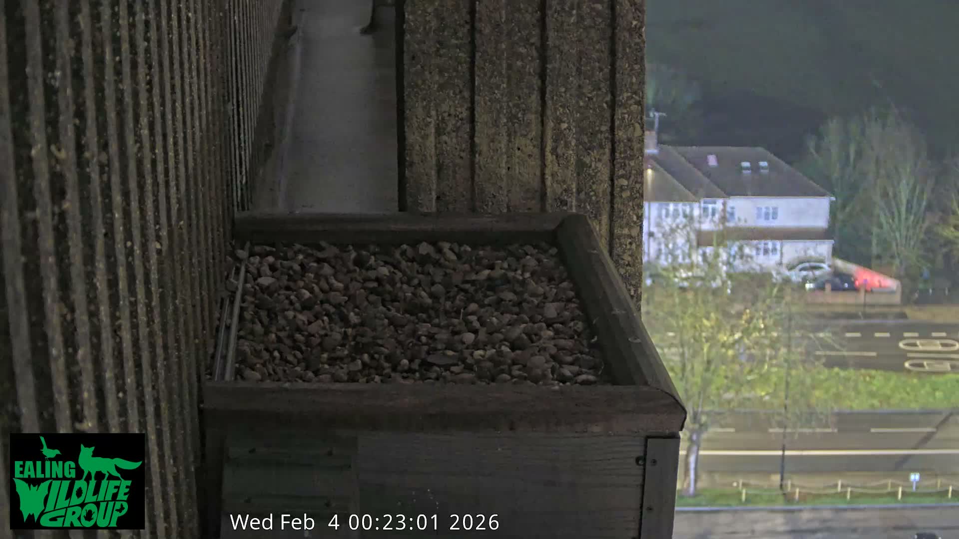 Ealing A4020/ Uxbridge Rd & Ealing’s Peregrine Falcons Life Live Cam - Ealing, London, England, United Kingdom