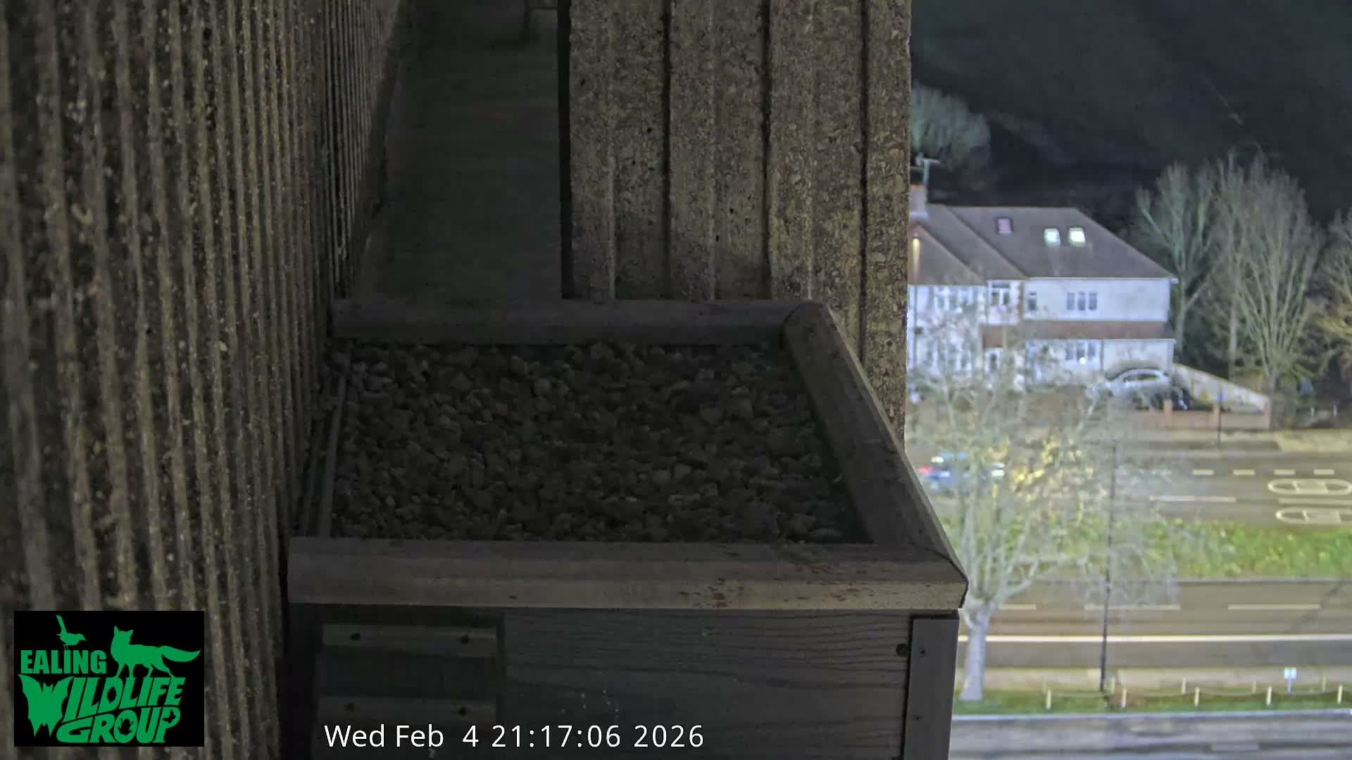 Ealing A4020/ Uxbridge Rd & Ealing’s Peregrine Falcons Life Live Cam - Ealing, London, England, United Kingdom