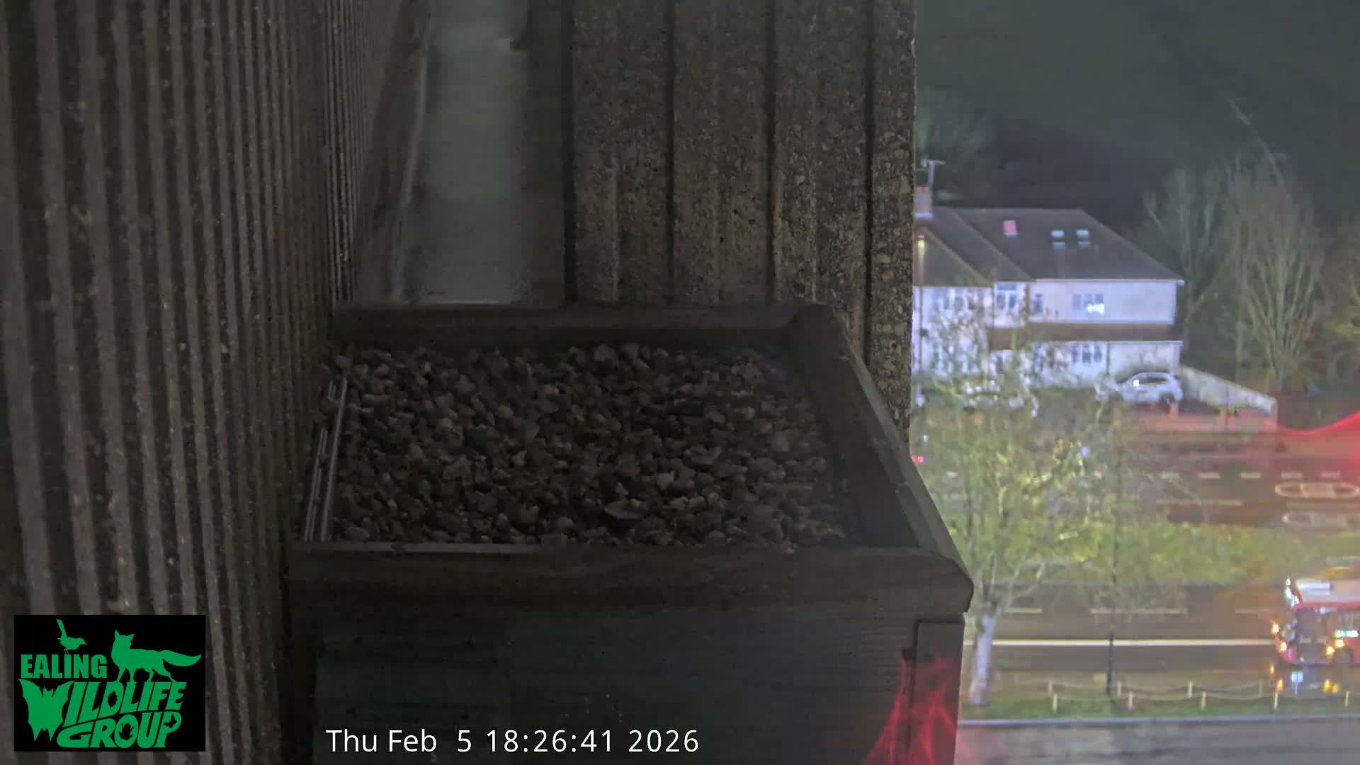 Ealing A4020/ Uxbridge Rd & Ealing’s Peregrine Falcons Life Live Cam - Ealing, London, England, United Kingdom