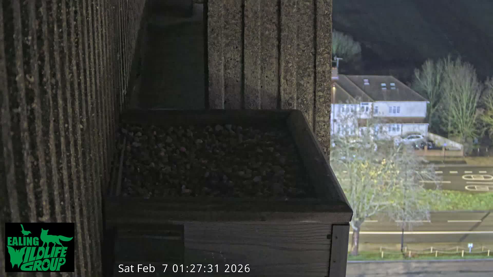 Ealing A4020/ Uxbridge Rd & Ealing’s Peregrine Falcons Life Live Cam - Ealing, London, England, United Kingdom
