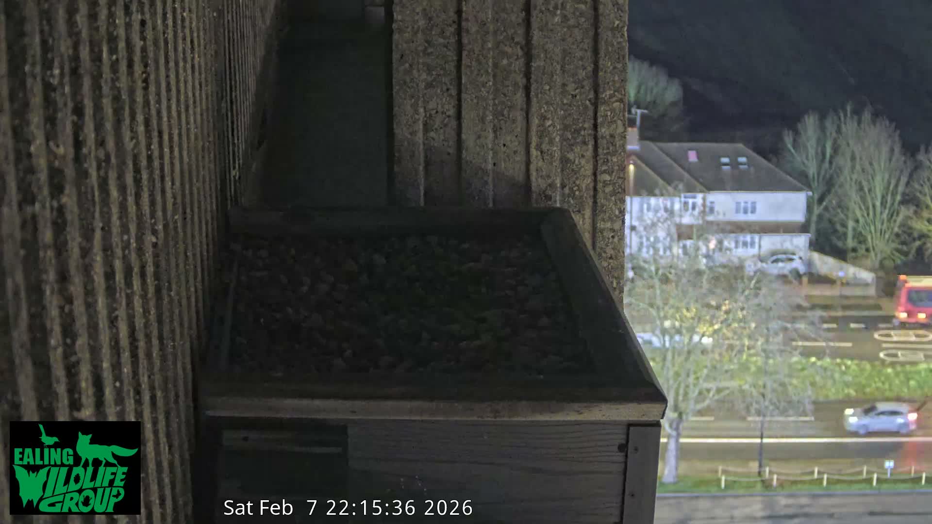 Ealing A4020/ Uxbridge Rd & Ealing’s Peregrine Falcons Life Live Cam - Ealing, London, England, United Kingdom