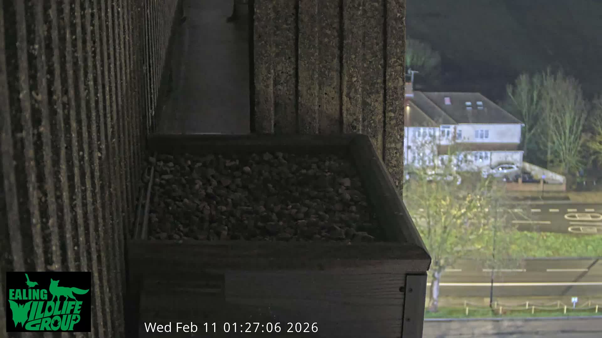 Ealing A4020/ Uxbridge Rd & Ealing’s Peregrine Falcons Life Live Cam - Ealing, London, England, United Kingdom