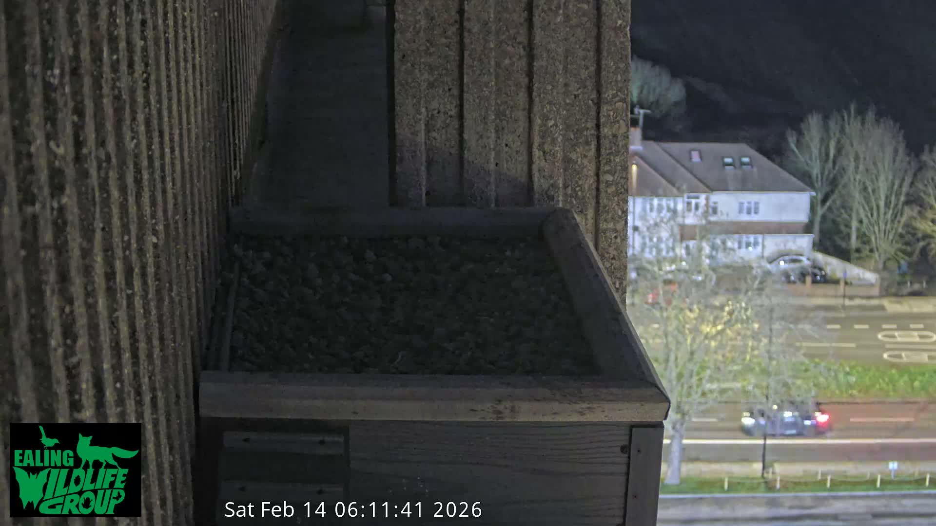Ealing A4020/ Uxbridge Rd & Ealing’s Peregrine Falcons Life Live Cam - Ealing, London, England, United Kingdom