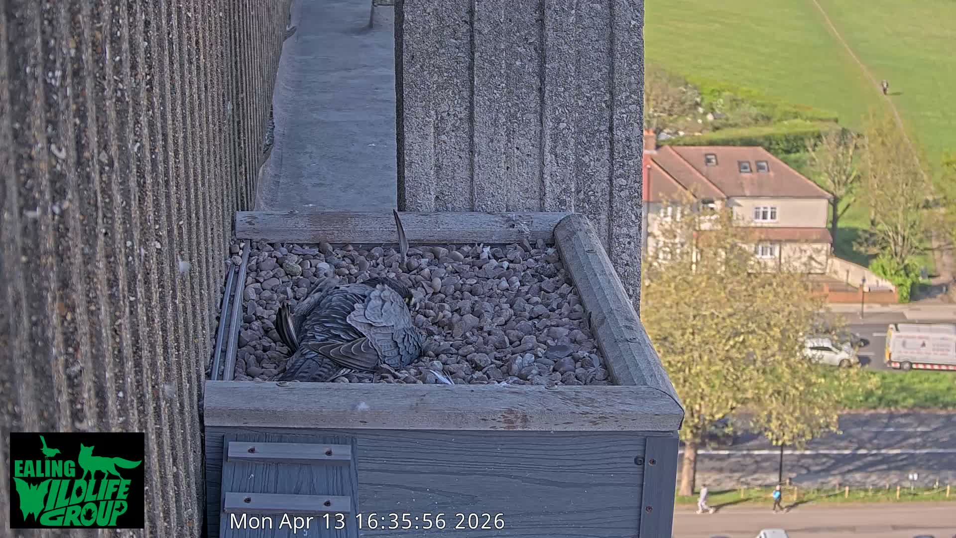 A wooden box filled with pebbles sits on a building ledge, overlooking a frosty suburban landscape with houses, bare trees, and a road on a clear, cold morning.