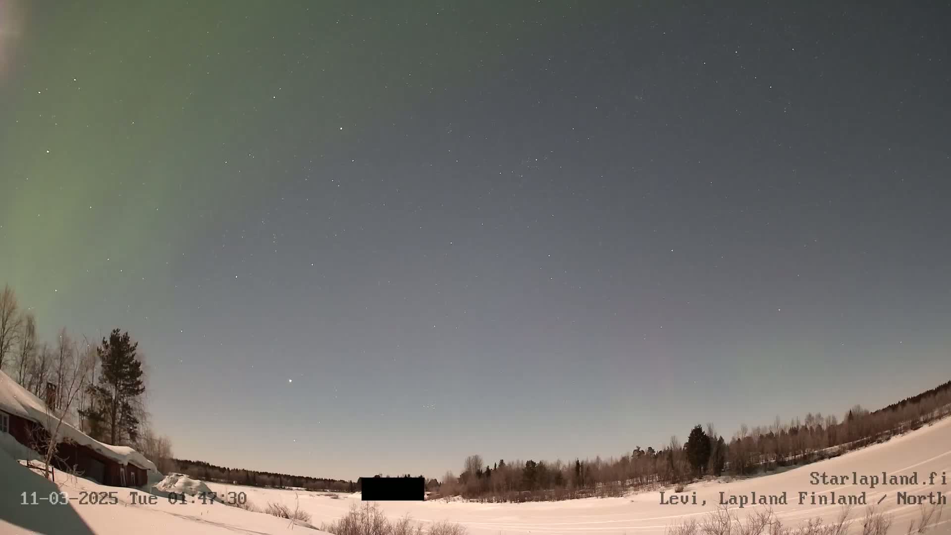A snow-covered landscape at night under a starry sky with a faint aurora borealis visible, illuminated by moonlight.