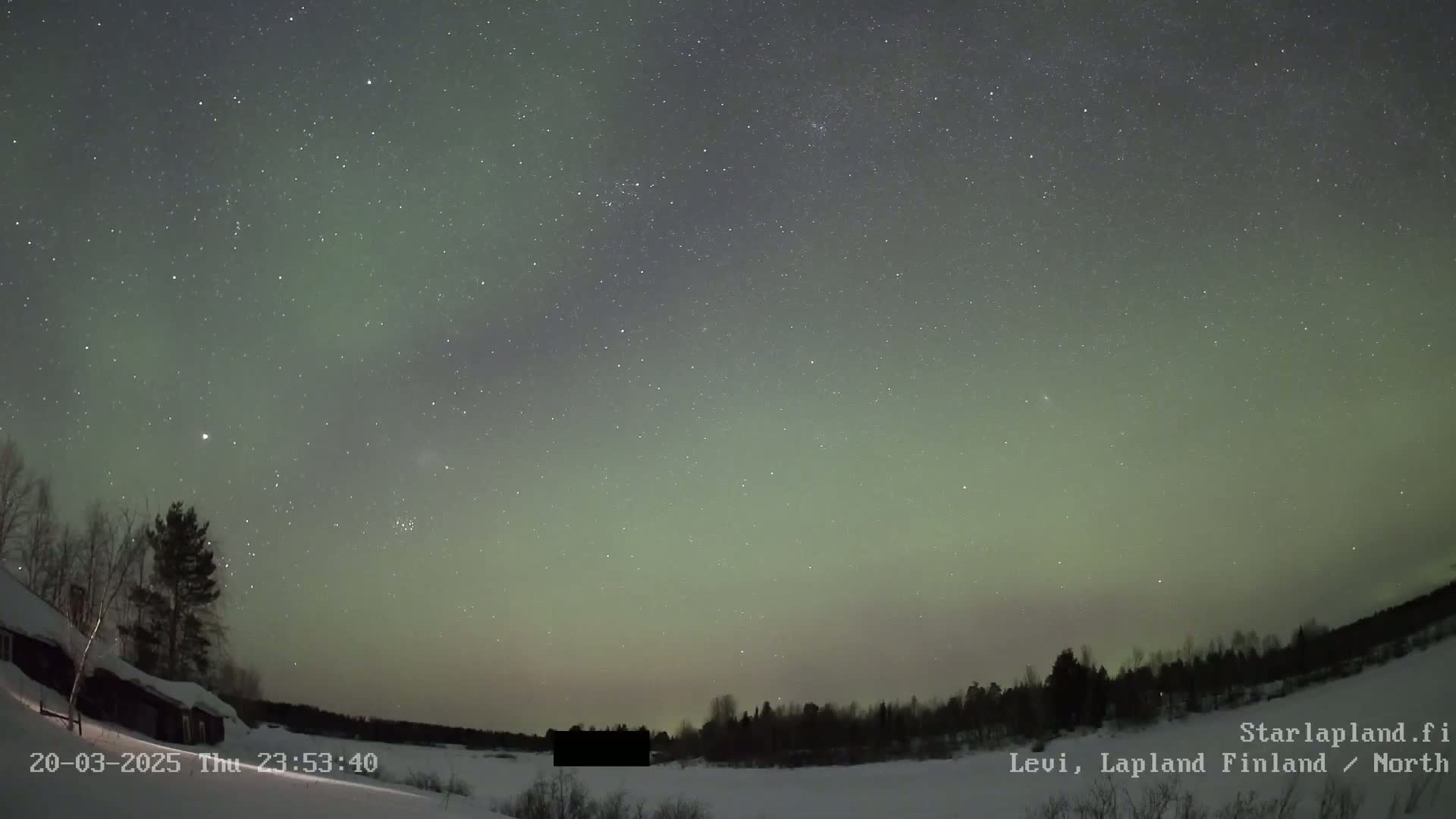 A snowy, wooded landscape is visible beneath a night sky filled with stars and a pale green aurora borealis.