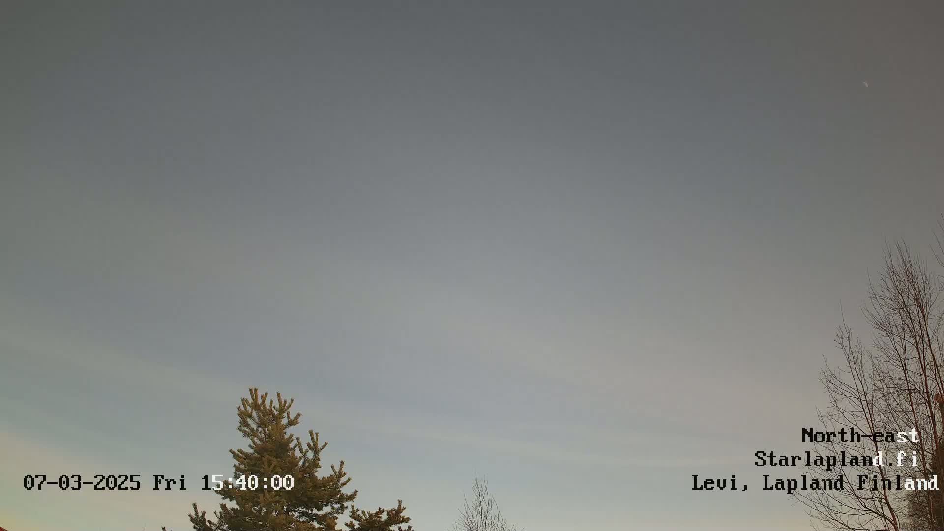 A mostly cloudy, pale sky is visible above a few bare trees and a pine tree.