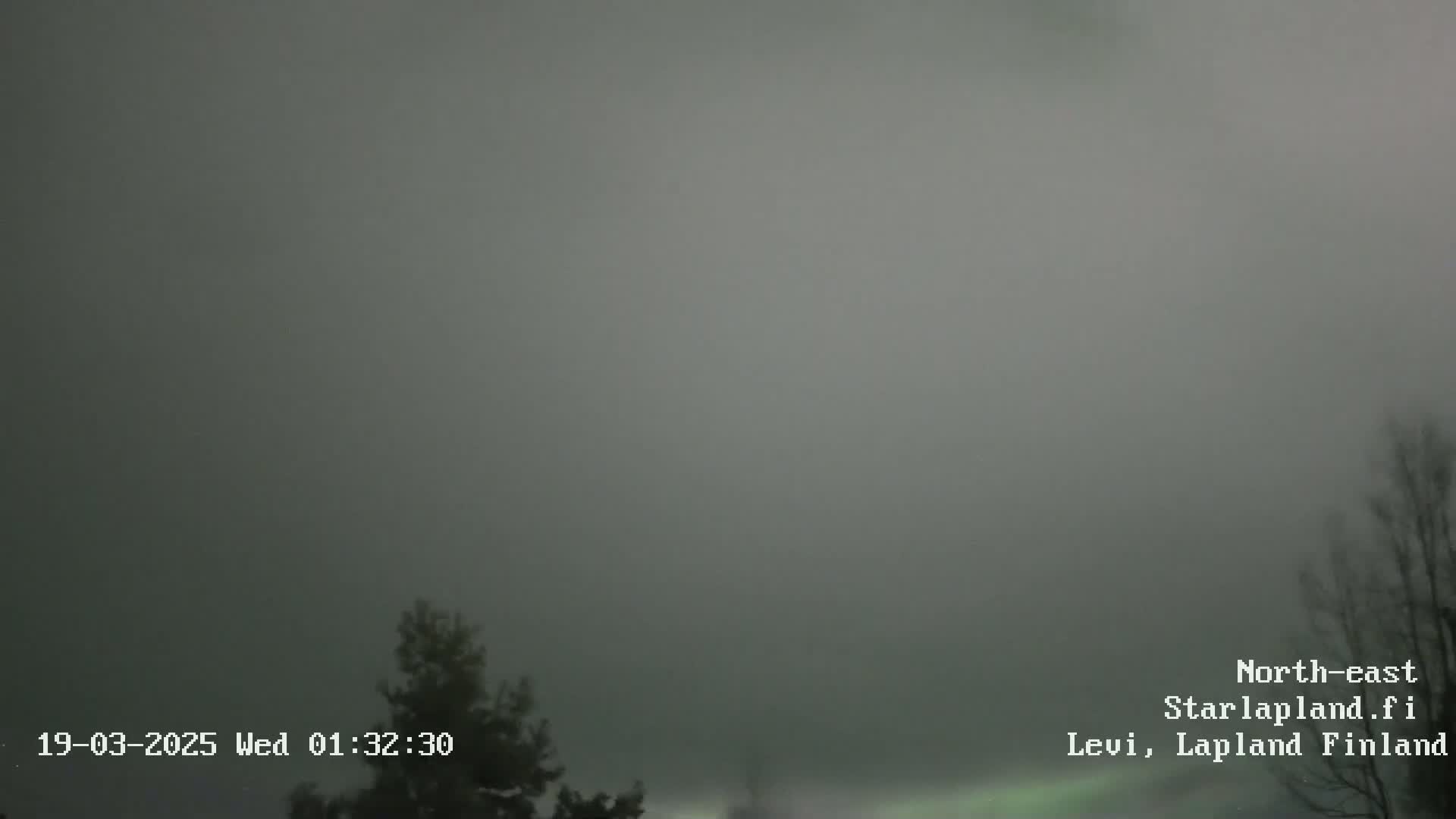 A foggy, dark gray sky with a faint green aurora borealis near the horizon is visible over a sparsely wooded area.