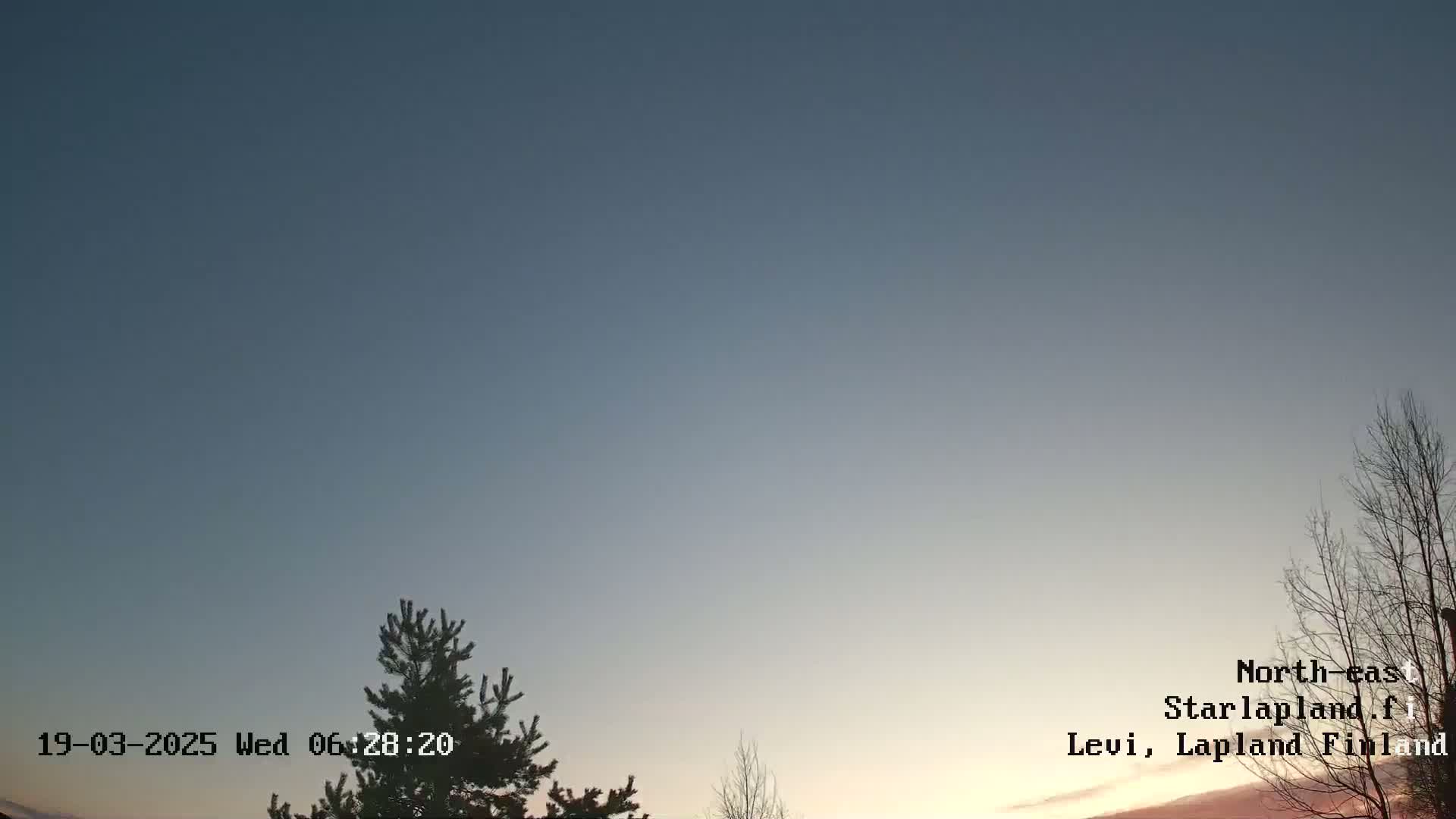 A mostly clear twilight sky with a few silhouetted trees in the bottom right corner.
