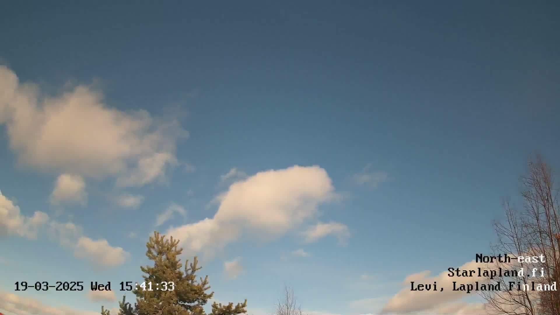 A partly cloudy sky is visible above some coniferous trees.